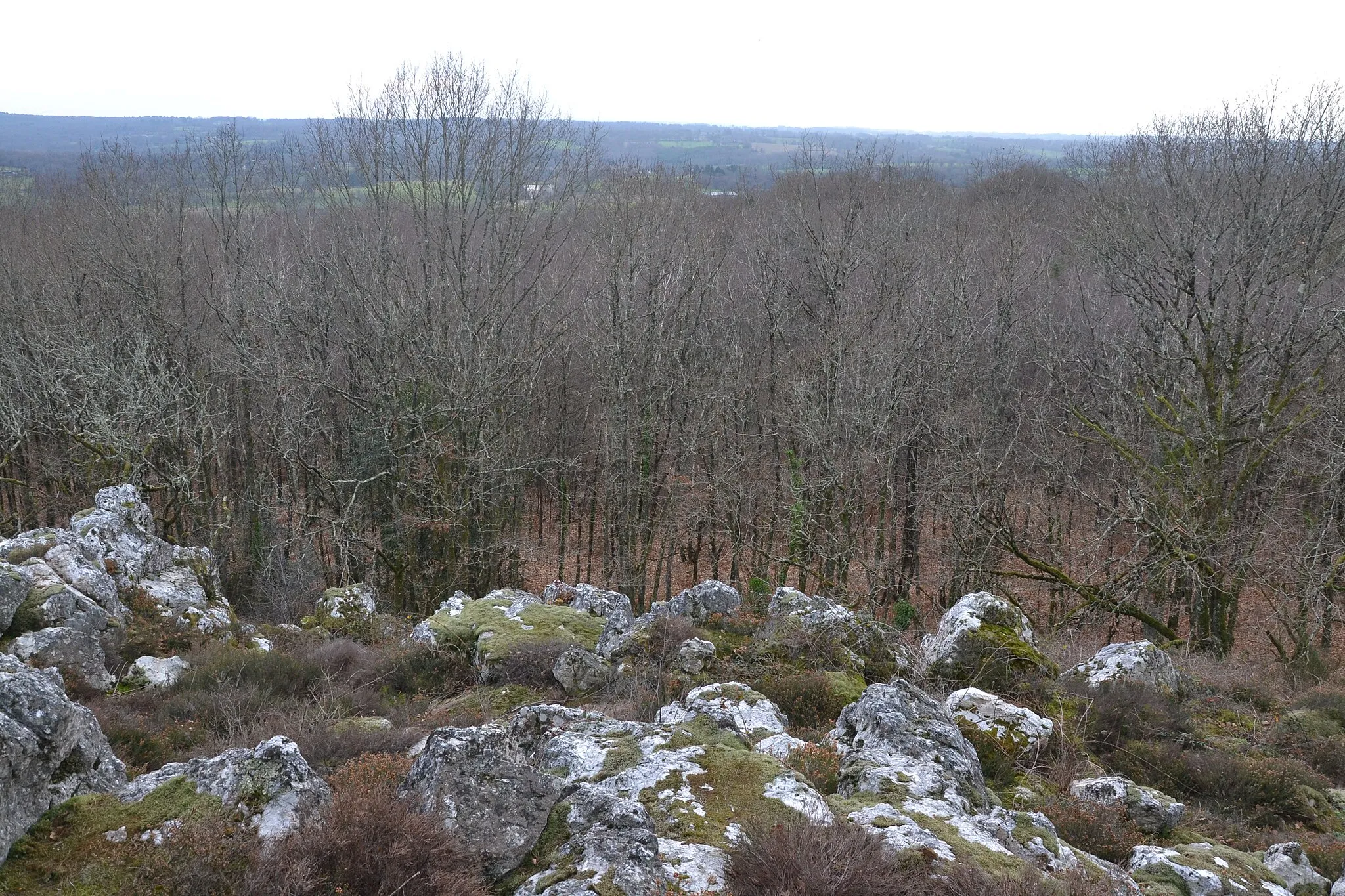 Photo showing: Affleurements de quartz de la butte de Frochet (Bussière-Boffy, Haute-Vienne, France), et vue sur la campagne environnante.