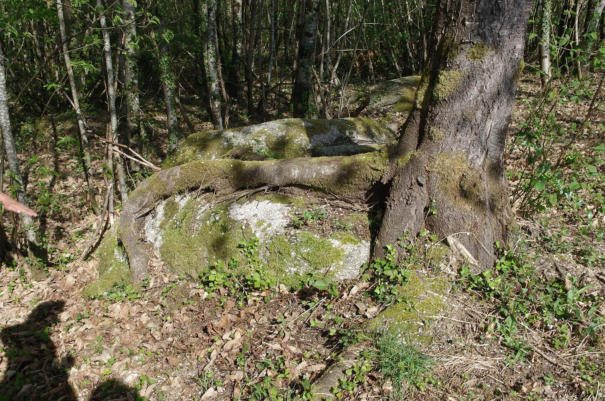 Photo showing: Rochers à quelques mètres du dolmen des Termisseaux, commune de Cieux, Haute Vienne