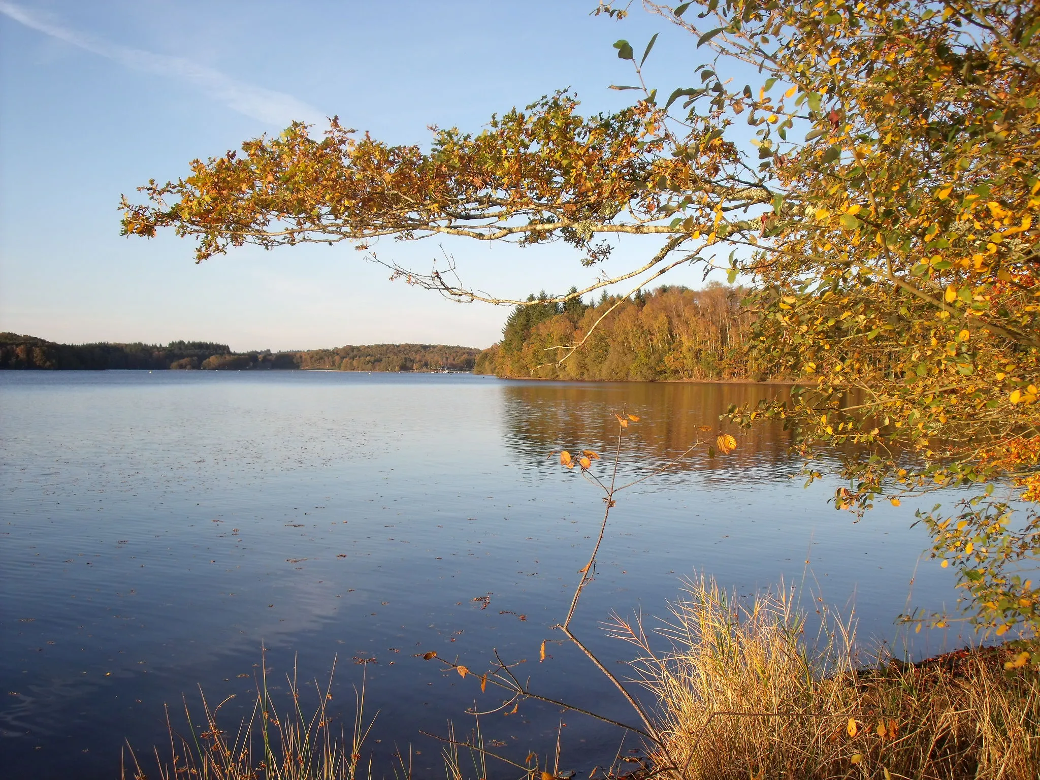 Photo showing: Lake Saint-Pardoux, 30km from Limoges, Haute-Vienne