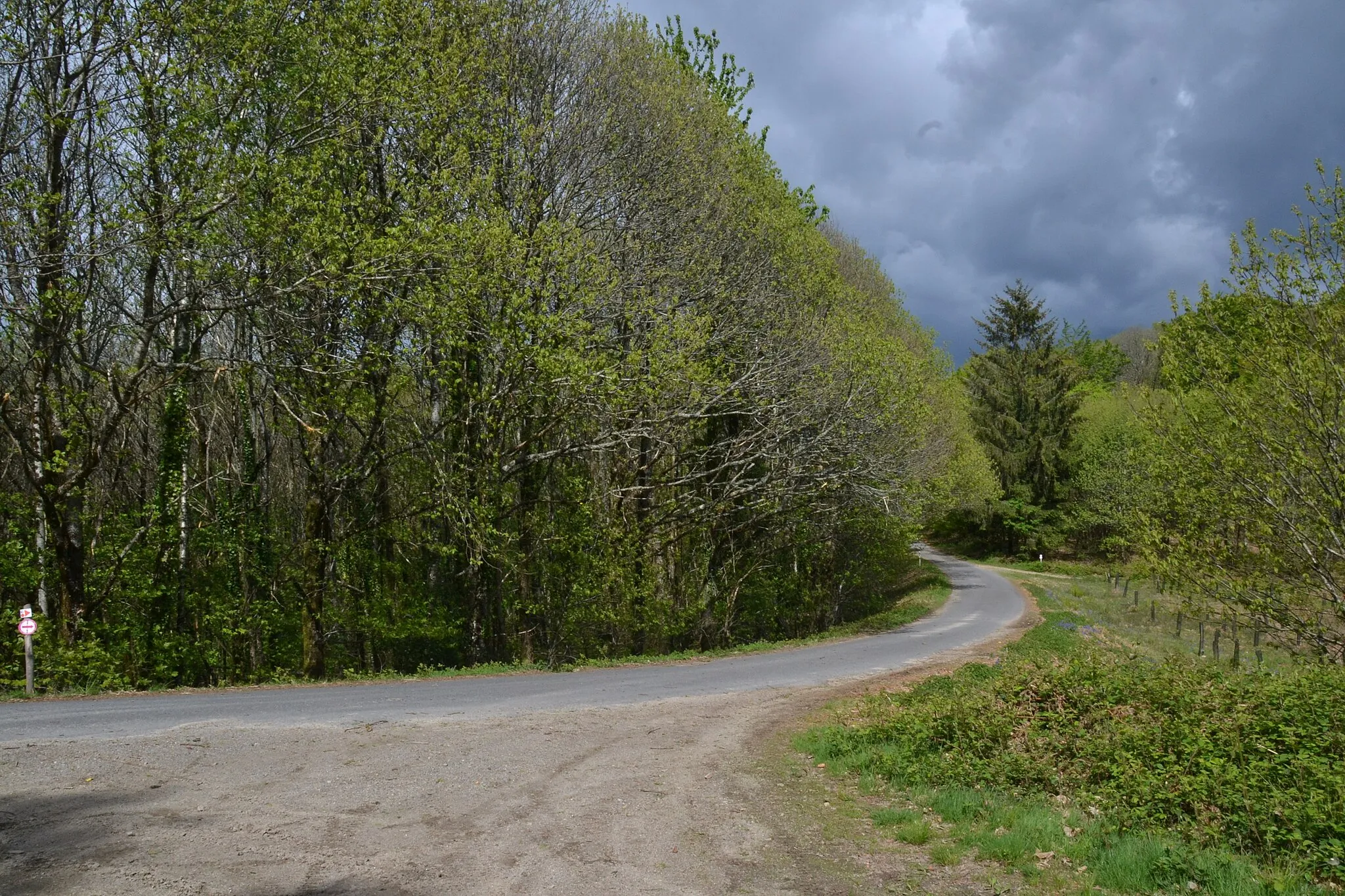 Photo showing: Abords du col de la Sablonnade (509 m), limite des communes de Compreignac et Bonnac-la-Côte (Haute-Vienne, France).