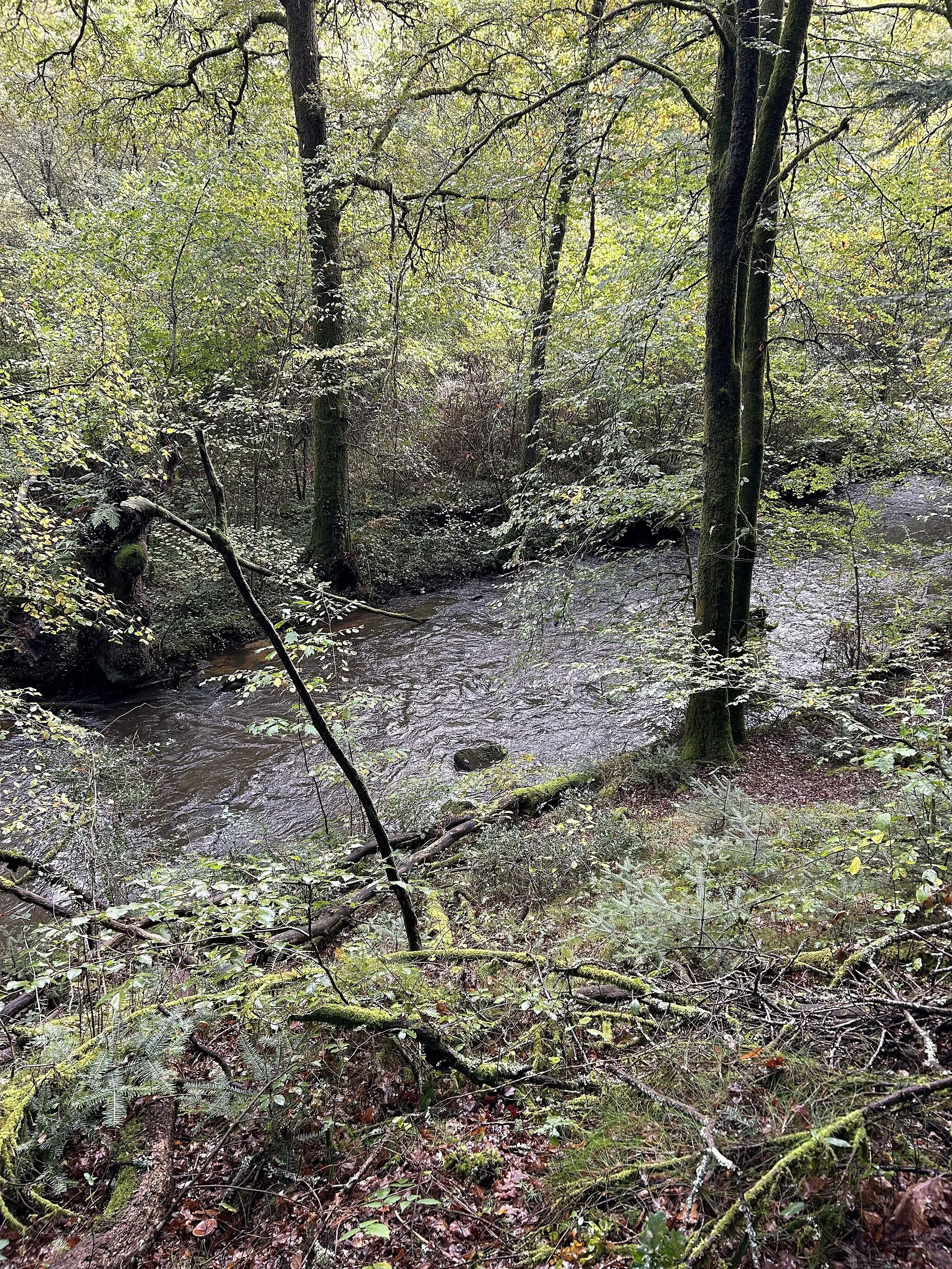 Photo showing: Le ruisseau du Palais, au Palais-sur-Vienne (Haute-Vienne, France), près du viaduc ferroviaire.