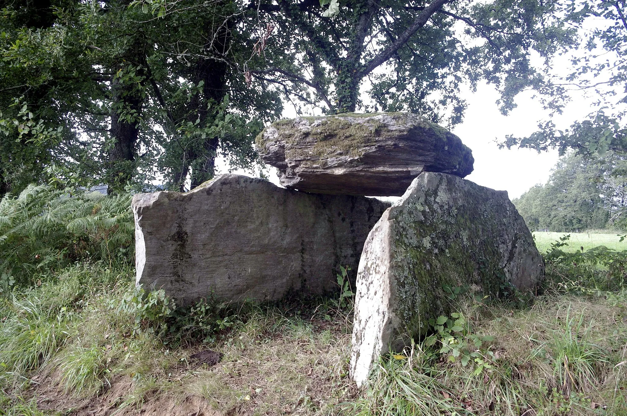 Photo showing: Dolmen la Tamanie, commune Oradour-sur-Vayres, Haute-Vienne, France