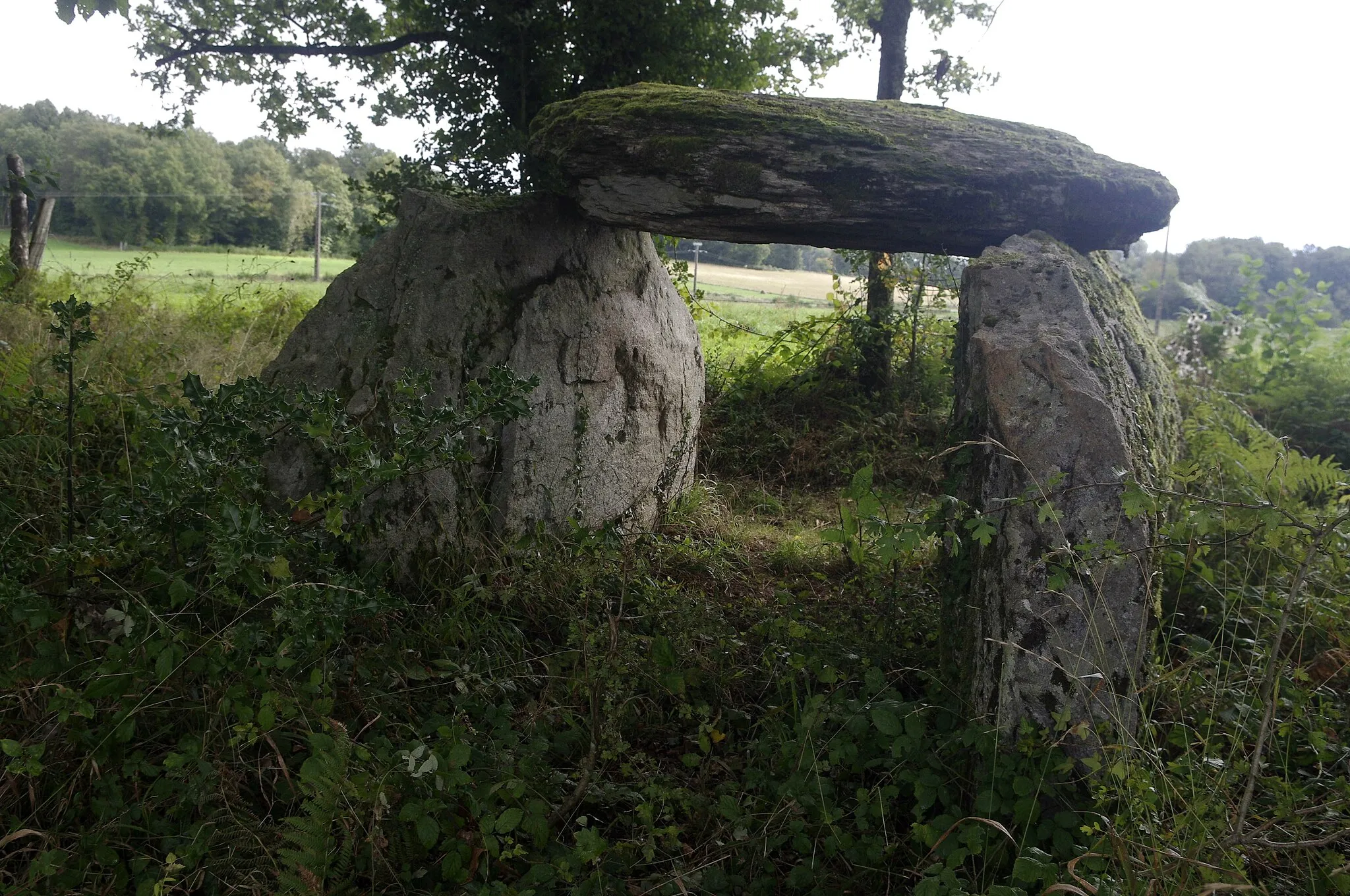 Photo showing: Dolmen la Tamanie, commune Oradour-sur-Vayres, Haute-Vienne, France