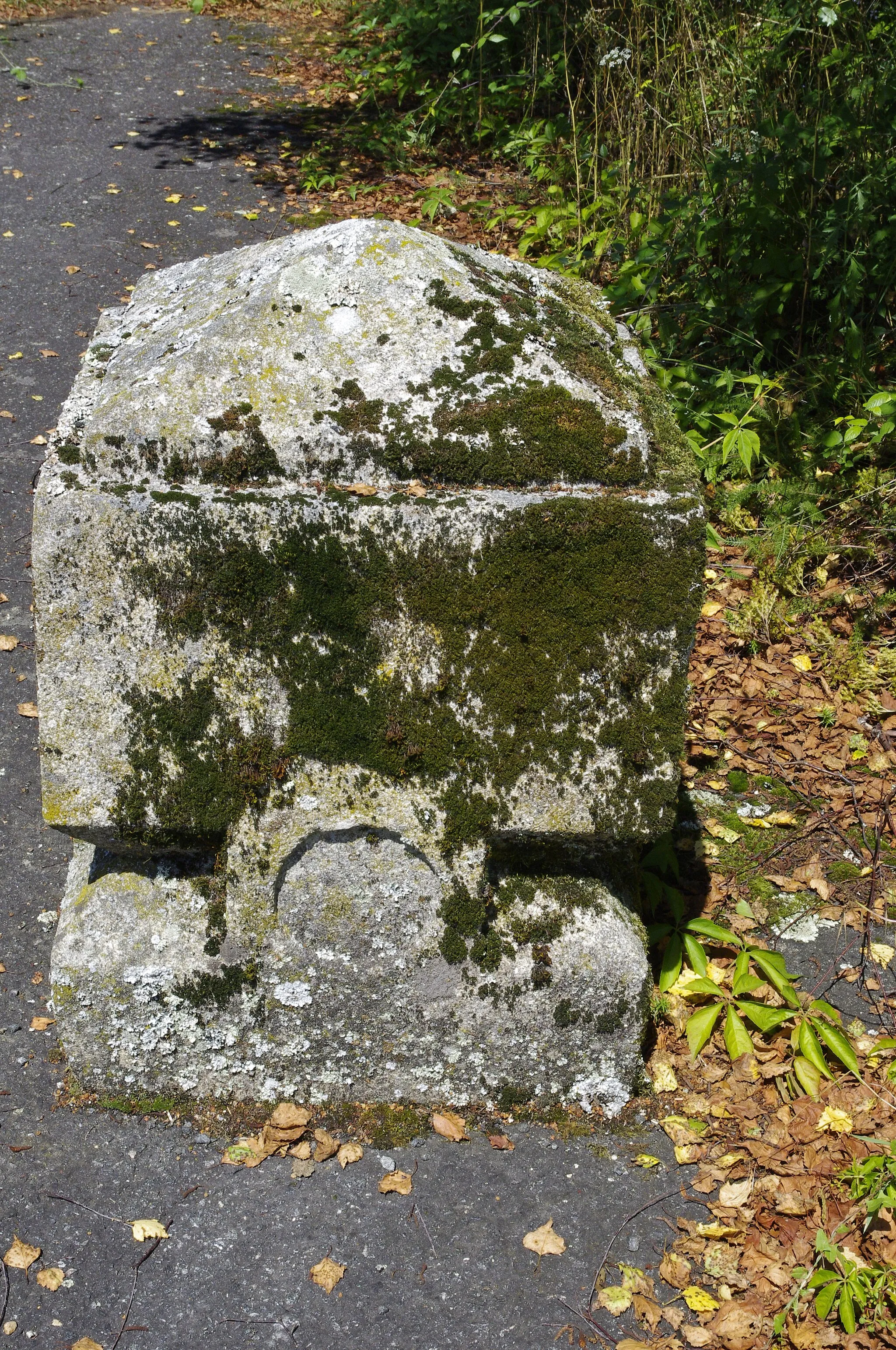 Photo showing: Une des deux pierres sculptées identiques qui bloquent l'accès aux voiture aux bâtiments abandonnés de Courbefy, commune de Bussière-Galant. Pierre qui provient probablement de la ruine de château tout près.