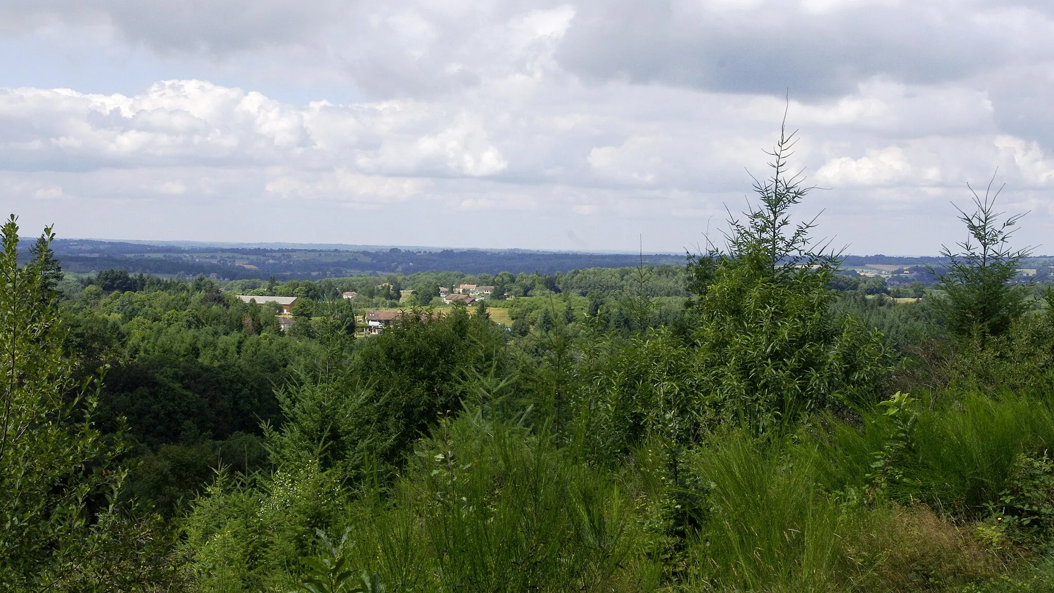 Photo showing: Courbefy, commune de Bussière-Galant, vue en direction nord-ouest.