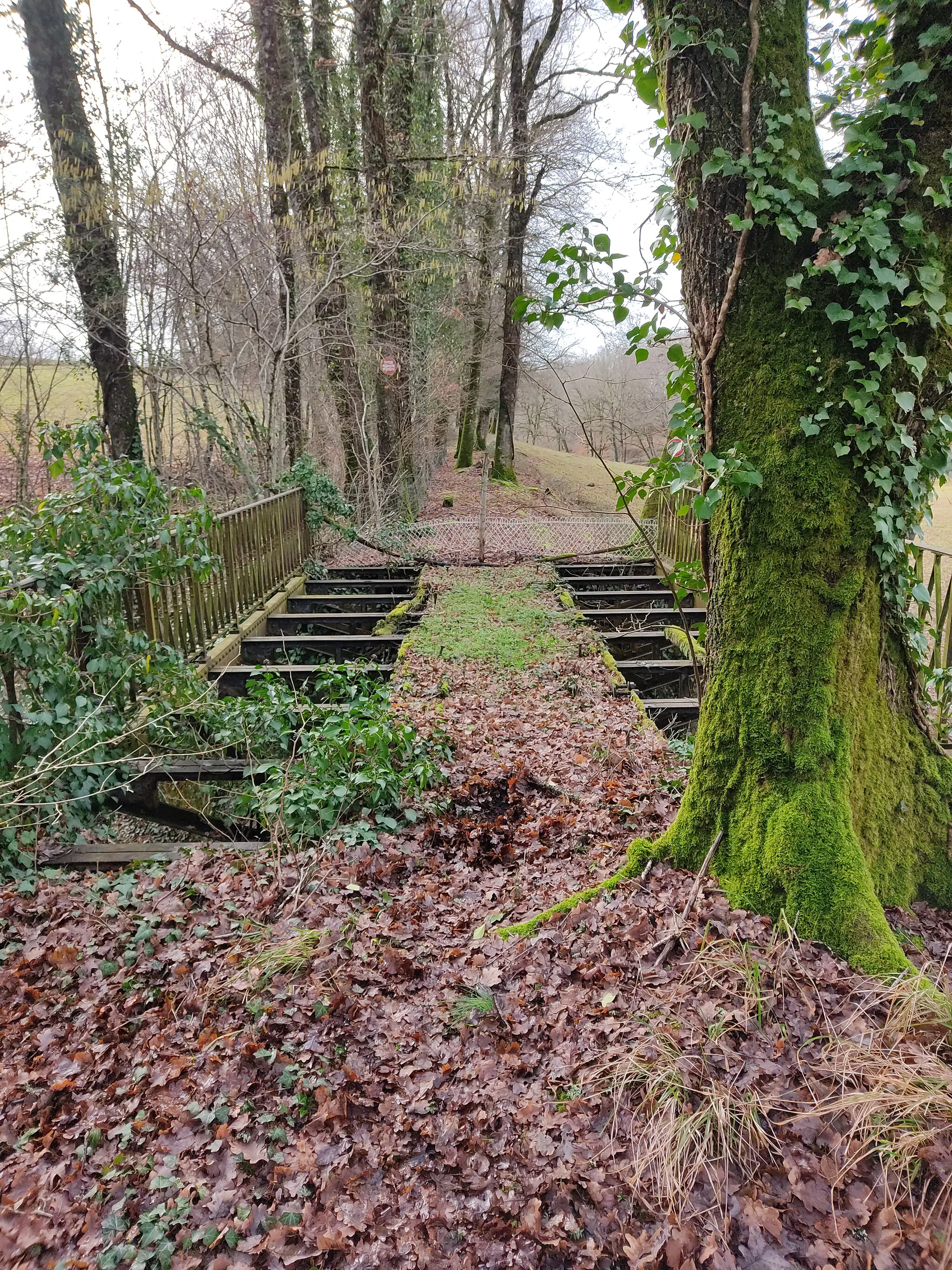 Photo showing: Ancien pont métallique sur la Haute-Loue