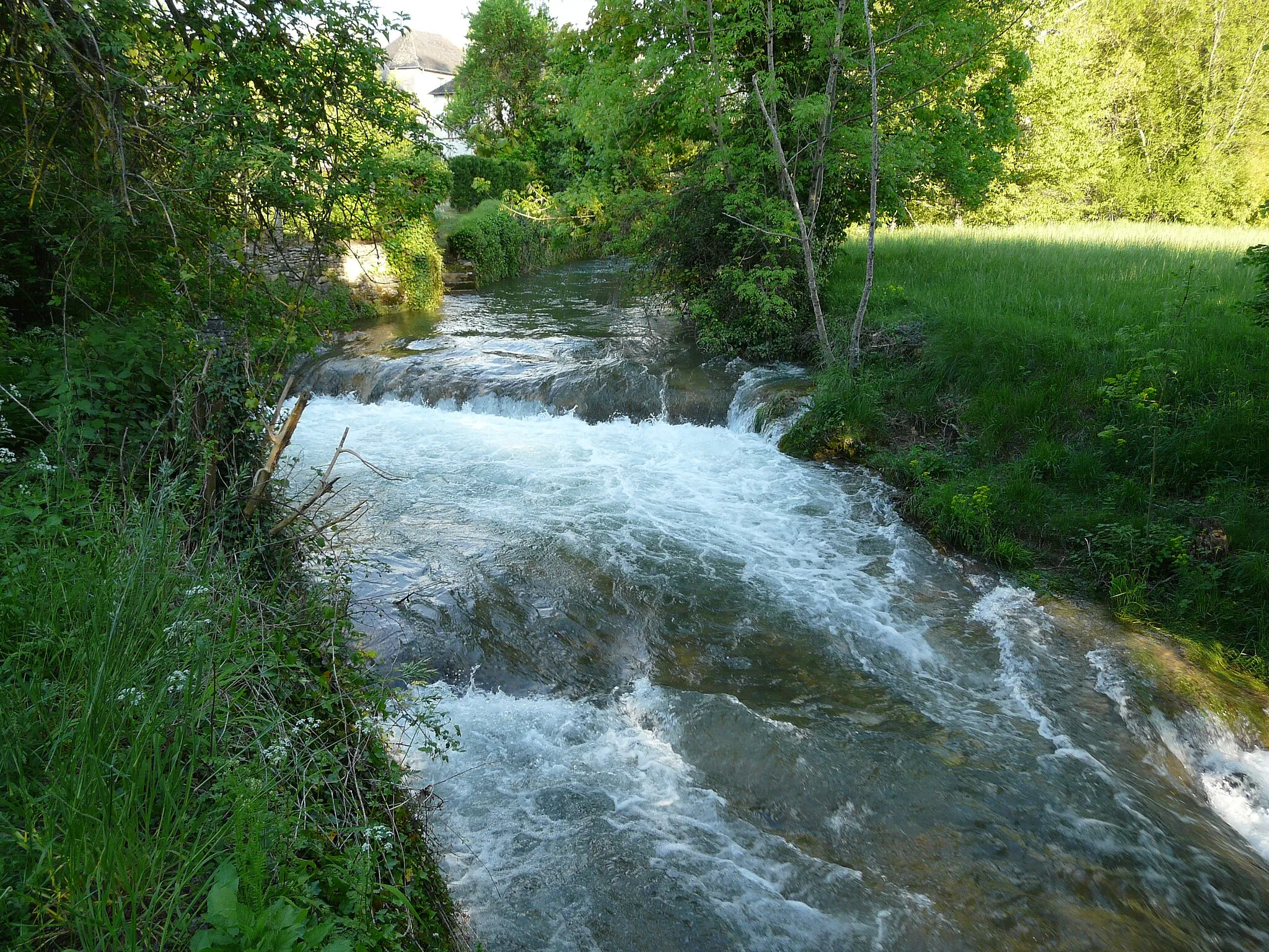 Photo showing: Environ 100 mètres avant sa confluence avec la Vézère, le Coly à Condat-sur-Vézère, Dordogne, France