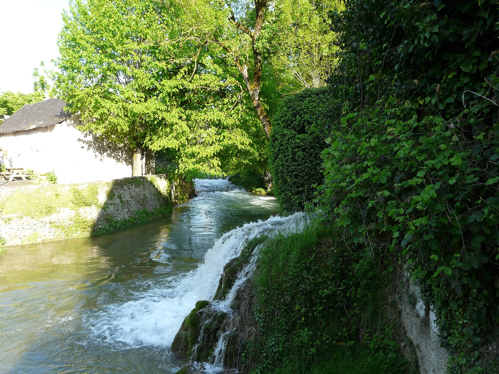 Photo showing: La cascade de la branche supérieure du Coly rejoignant le cours principal du Coly, 30 mètres avant sa confluence avec la Vézère, Condat-sur-Vézère, Dordogne, France