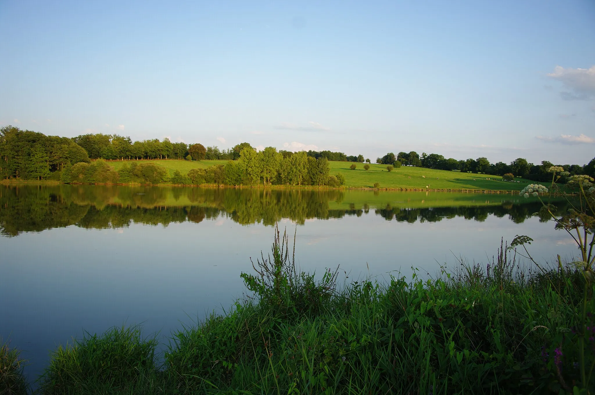 Photo showing: Etang de la pouge à Saint-Auvent Réserve Ornithologique Site Natura 2000 Août 2011