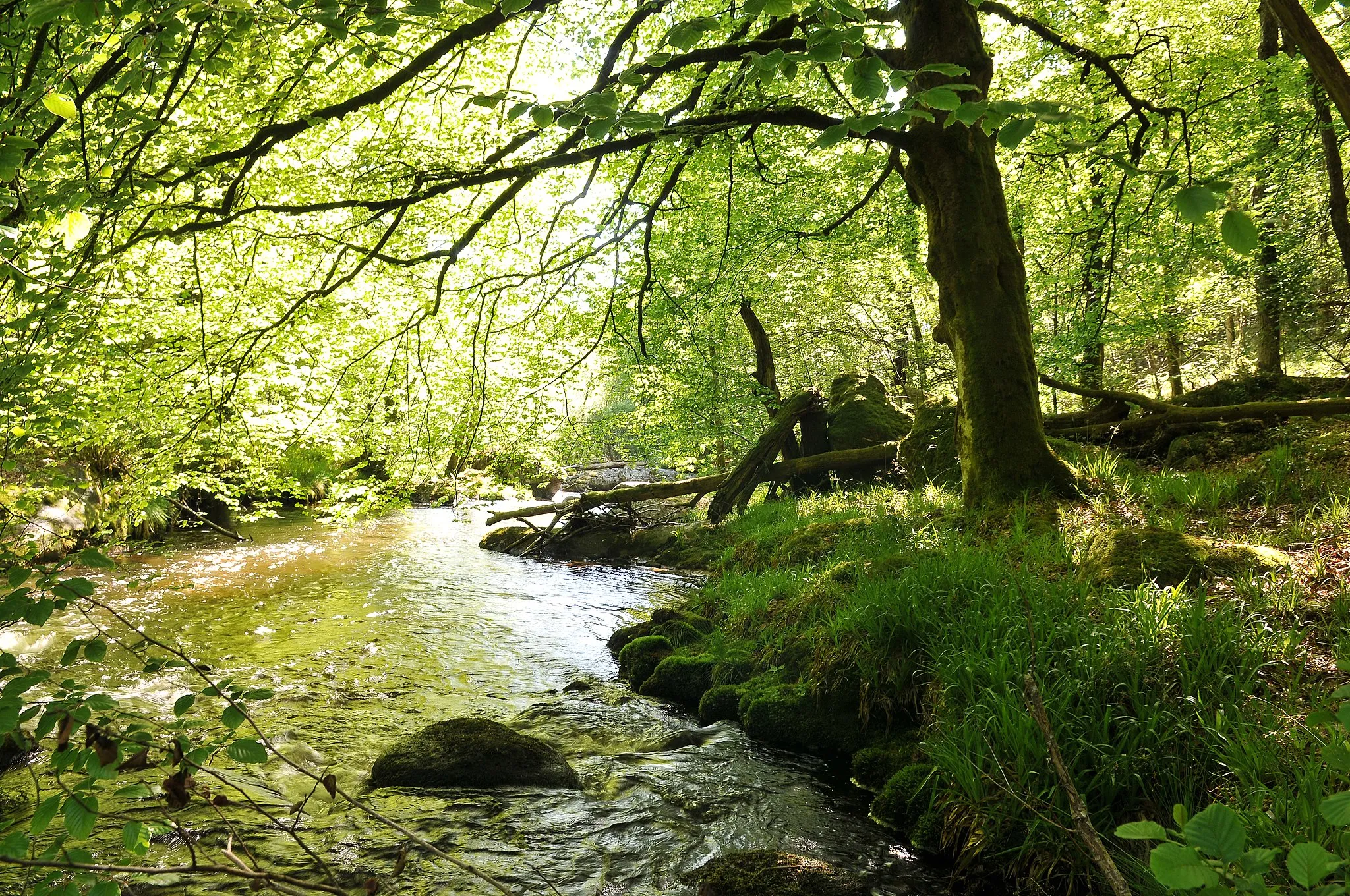 Photo showing: La Vienne entre Tarnac et Rempnat, limite Corrèze/Haute-Vienne