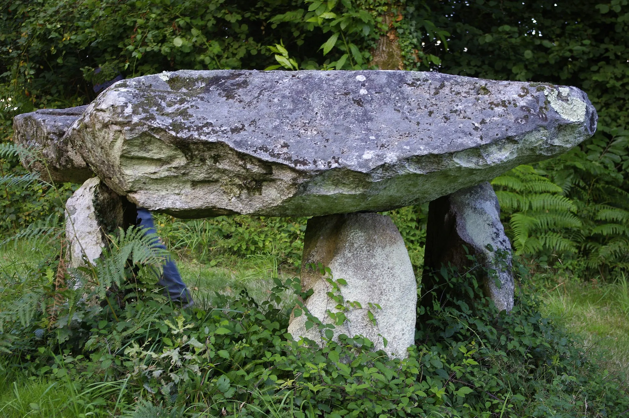 Photo showing: Dolmen de Rouffignac, commune de Javerdat, Haute Vienne