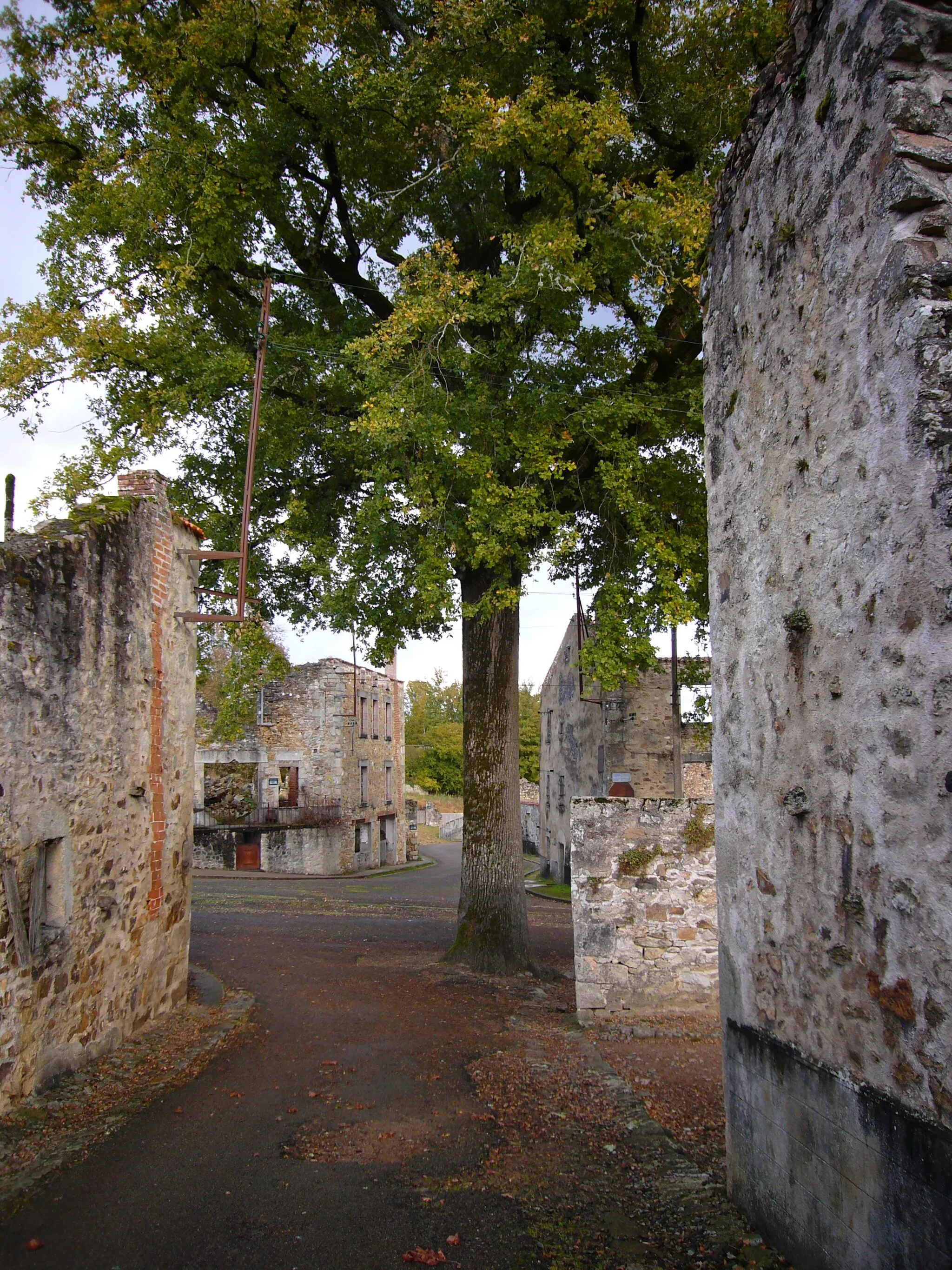 Photo showing: Arbre de la liberté, village martyr d'Oradour-sur-Glane (Haute-Vienne, France).