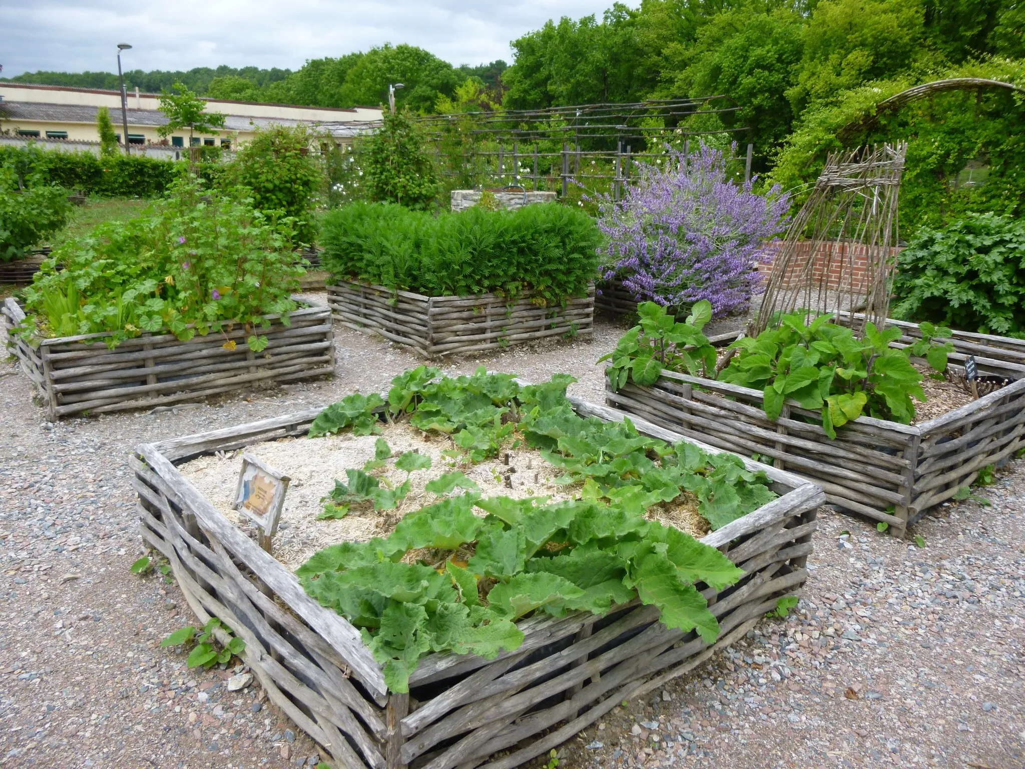 Photo showing: Jardin médiéval d' Aixe-sur-Vienne