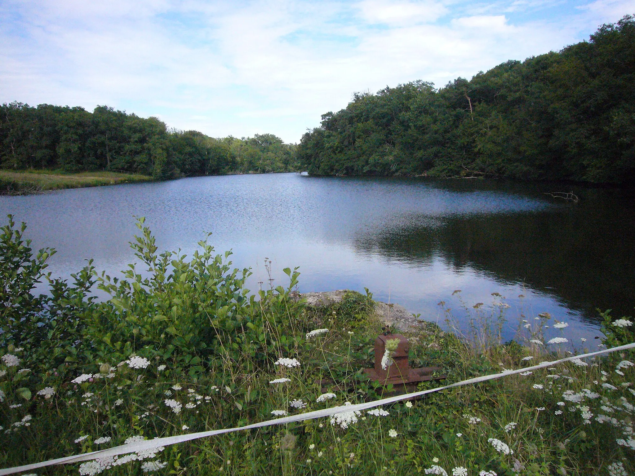 Photo showing: L'étang de Cordelas, sur l'Auzette à Panazol (Haute-Vienne)