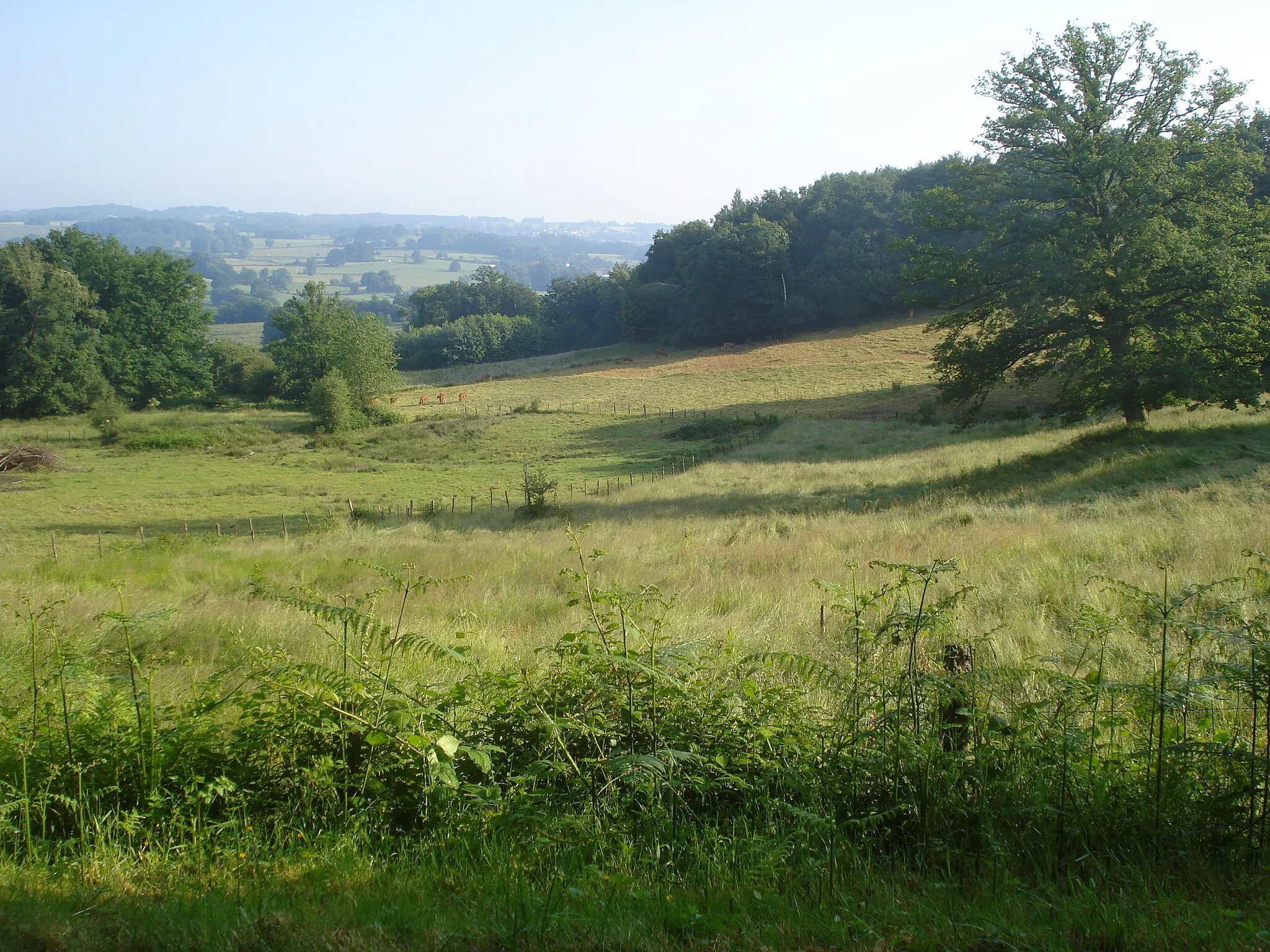 Photo showing: Landscape near Chamborand (Creuse, Fr)