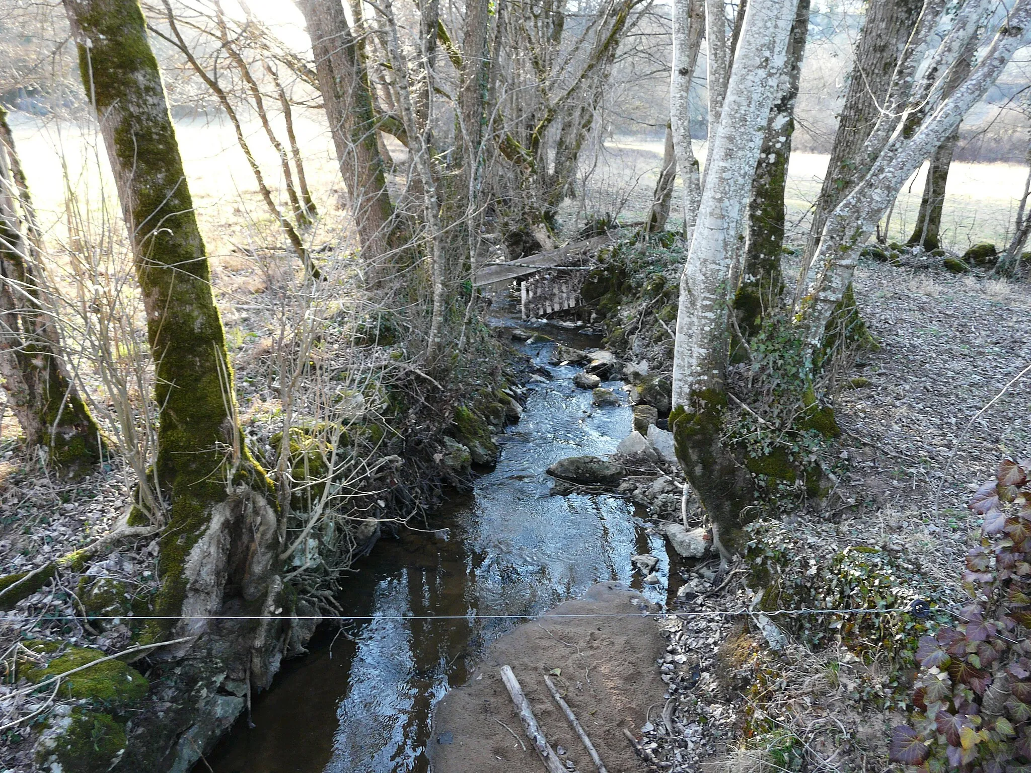 Photo showing: La Couze en aval de la passerelle du GR 46 au lieu-dit Couze, Noailles, Corrèze, France. Vue prise en direction de l'amont.