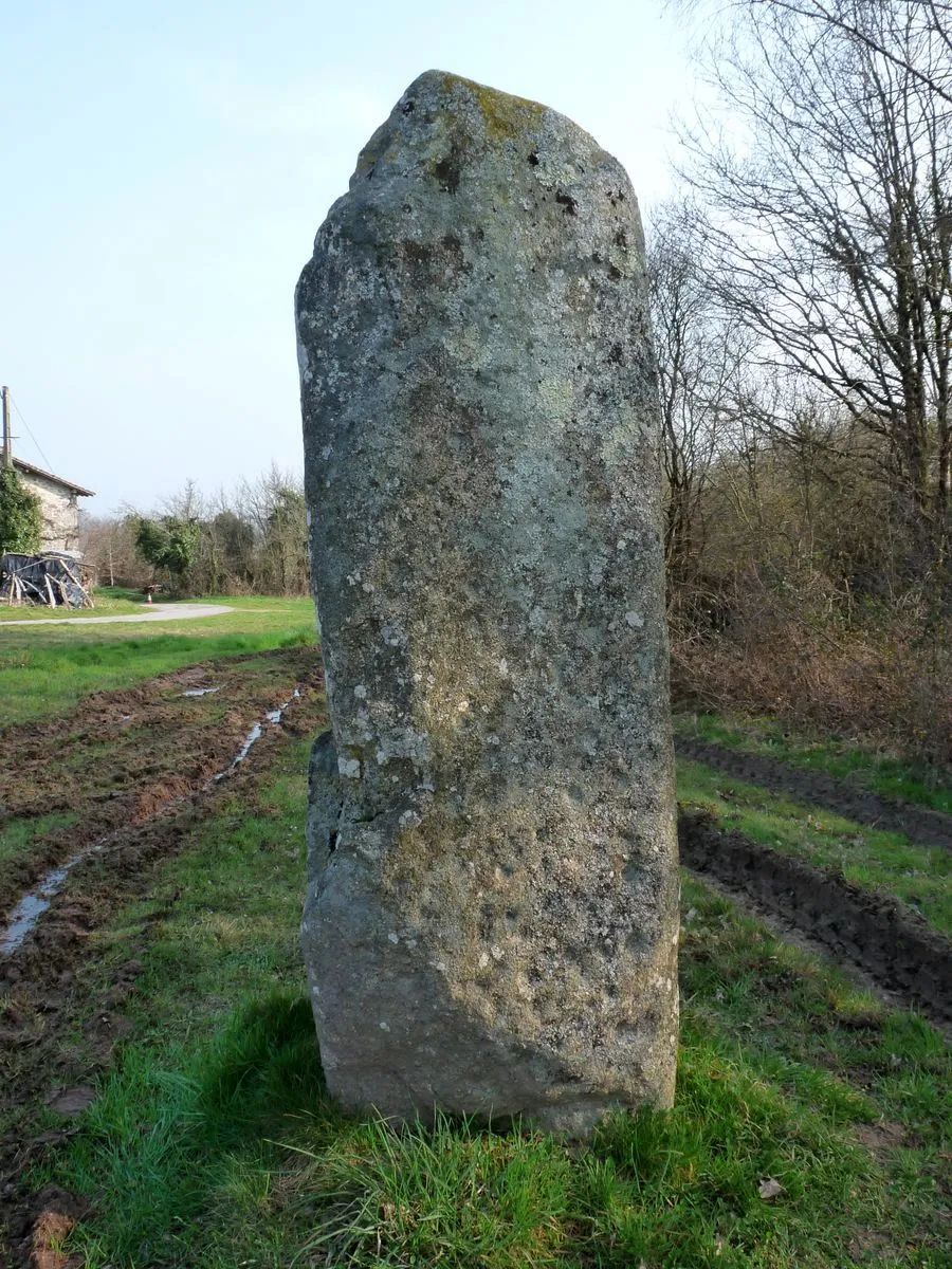 Photo showing: Menhir à cupules d'Arnac (commune de Cieux - Haute-Vienne)