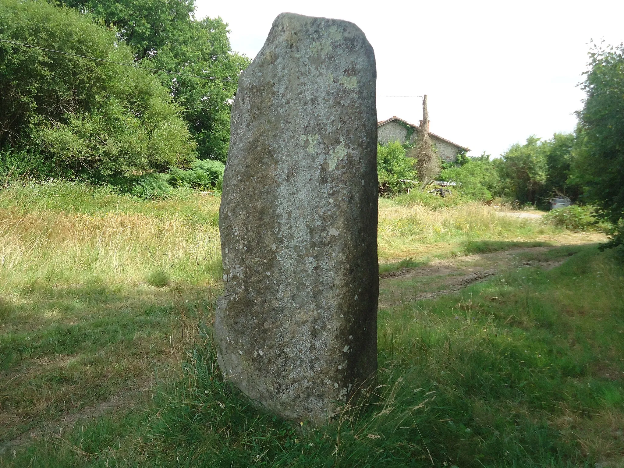 Photo showing: Menhir à cupules d'Arnac en Haute-Vienne