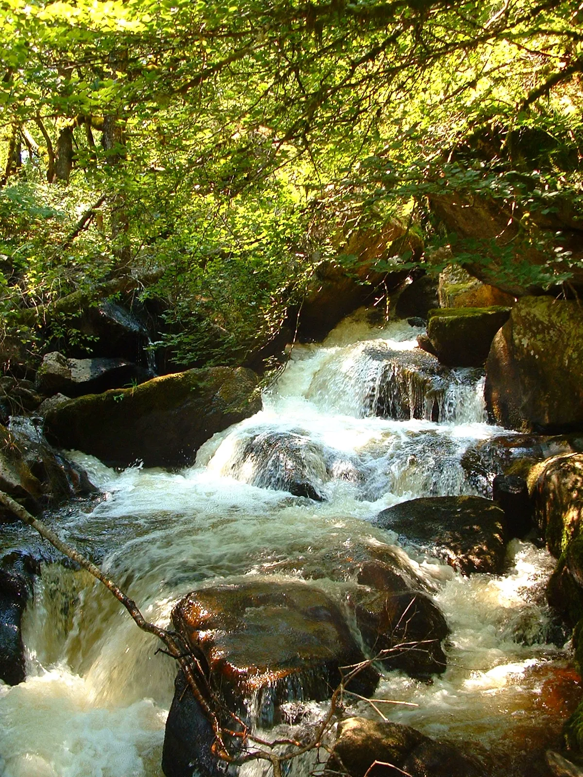 Photo showing: Egletons, Corrèze 2007.