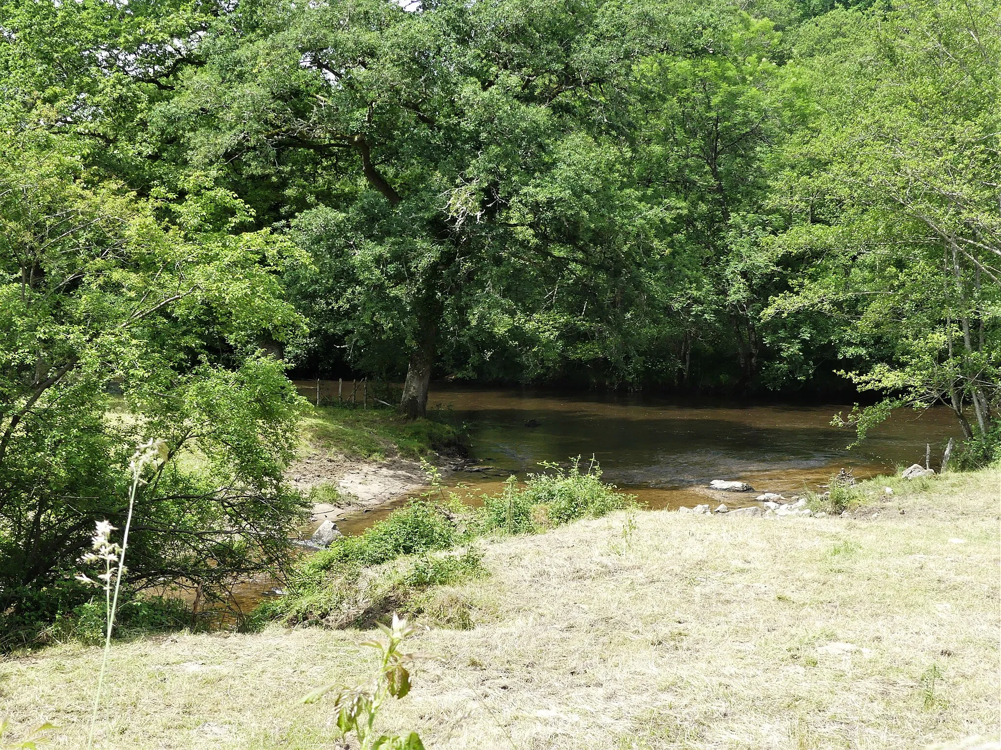 Photo showing: Le ruisseau de Boulou (venant d'en bas à gauche) conflue avec la Vézère (qui coule de droite vers la gauche) ; au premier plan, commune du Lonzac ; au-delà de la Vézère, commune de Peyrissac ; sur la droite du confluent, le long de la Vézère, commune d'Affieux.