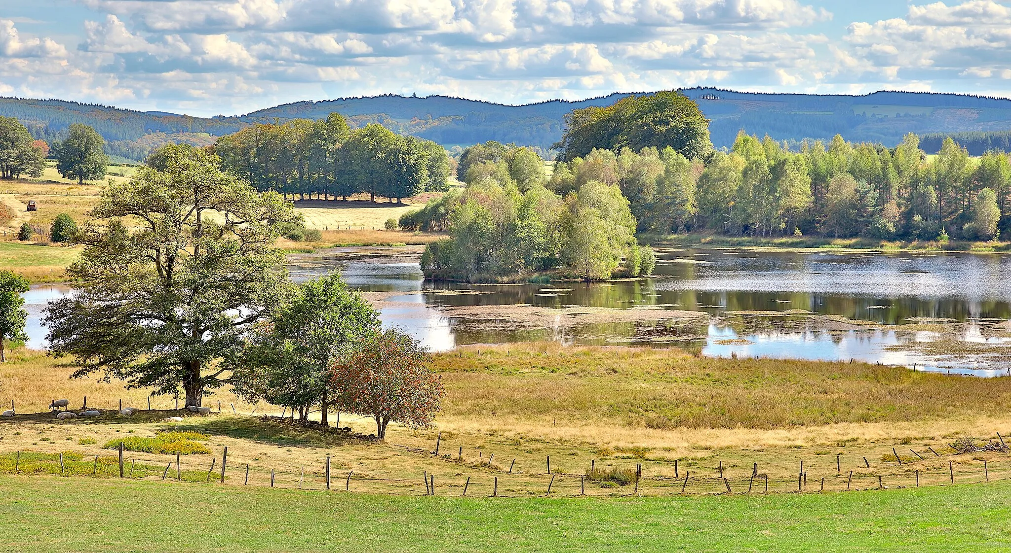 Photo showing: L'étang de Chabannes, altitude 800m, plateau de Millevaches, Corrèze, France.