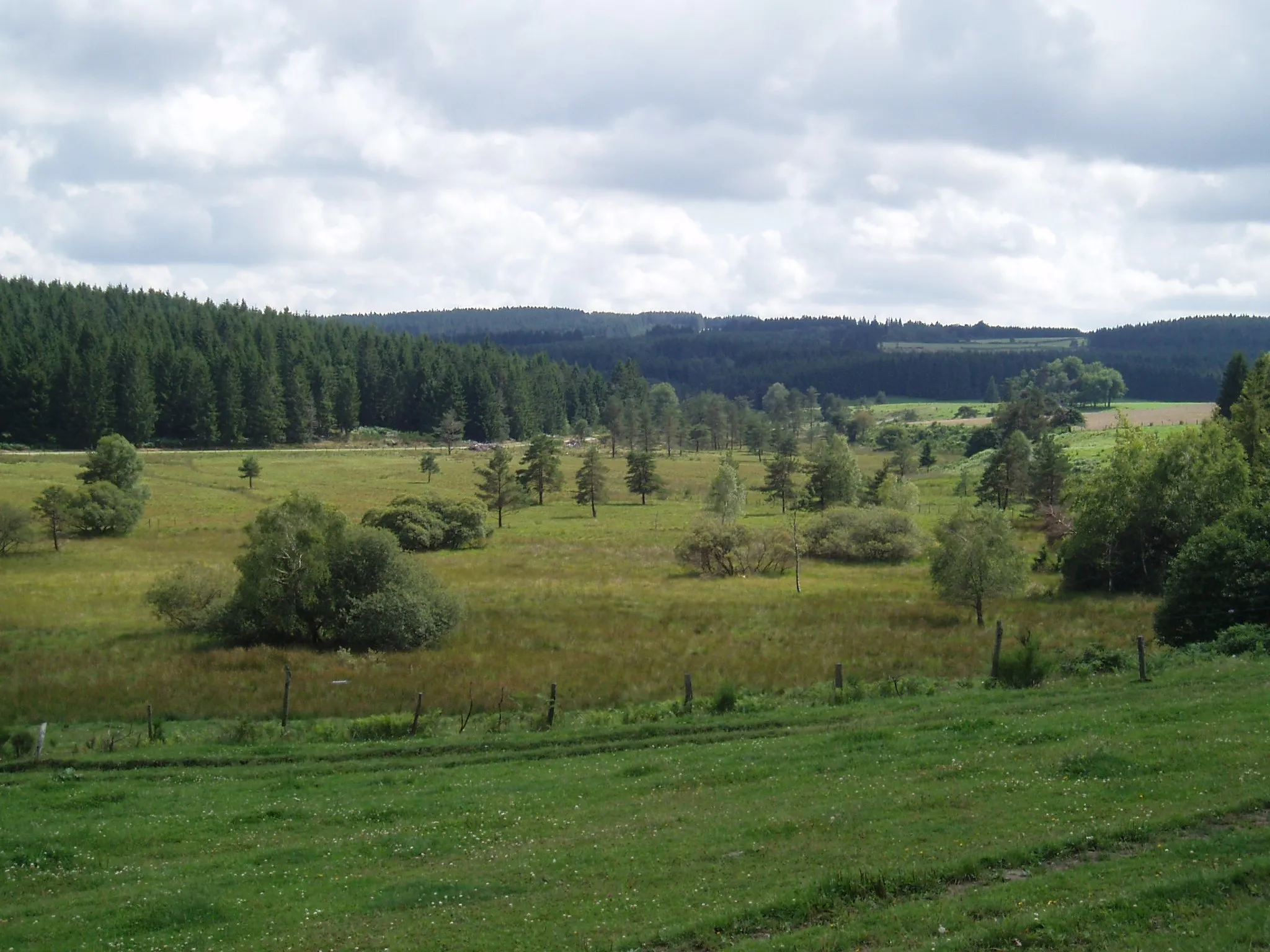 Photo showing: Prairies du plateau de Millevaches