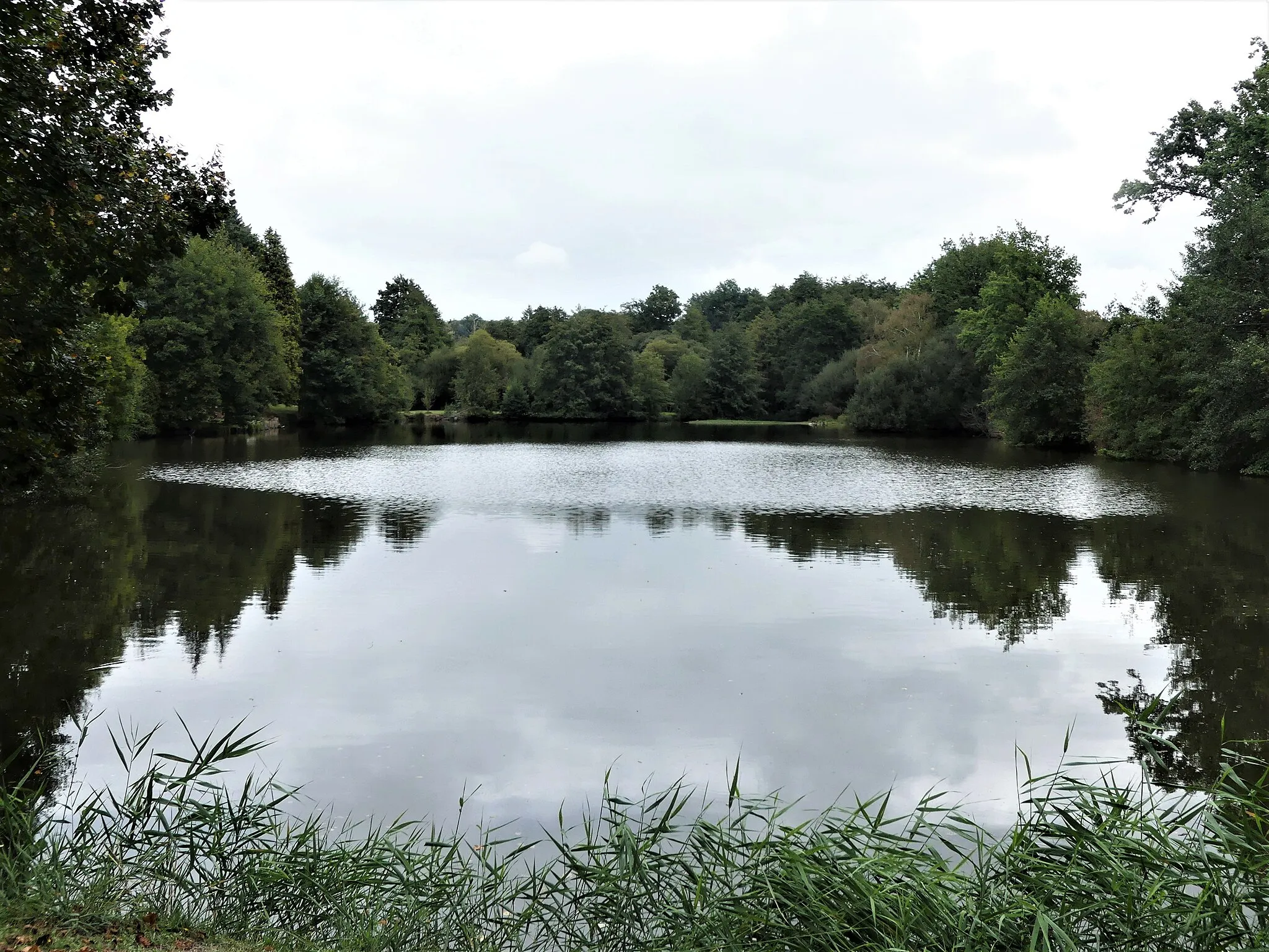 Photo showing: L'étang de Sarette alimenté par le ruisseau des Belles-Dames, Beyssenac, Corrèze, France.