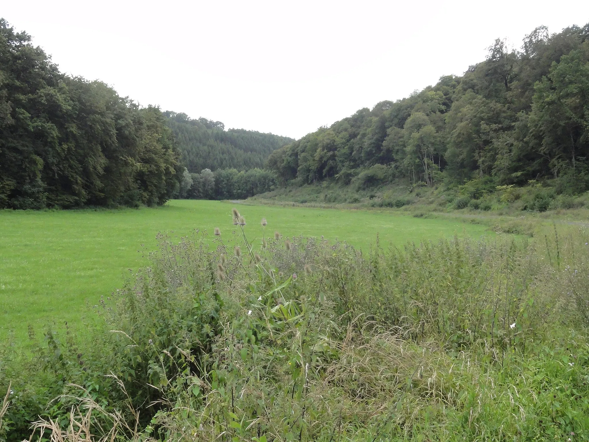 Photo showing: Montplonne (Meuse) paysage (à gauche bois de Girauhan, à droite bois du Corrois)