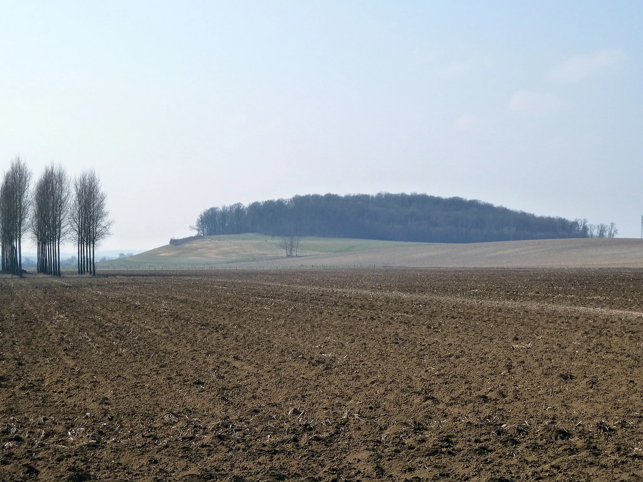 Photo showing: Nettancourt (55 Meuse) - La butte d'Huppemont (altitude 181 m) sur laquelle se trouvait autrefois un camp militaire romain. Huppémont était, au moyen âge, un village formant commune et paroisse.