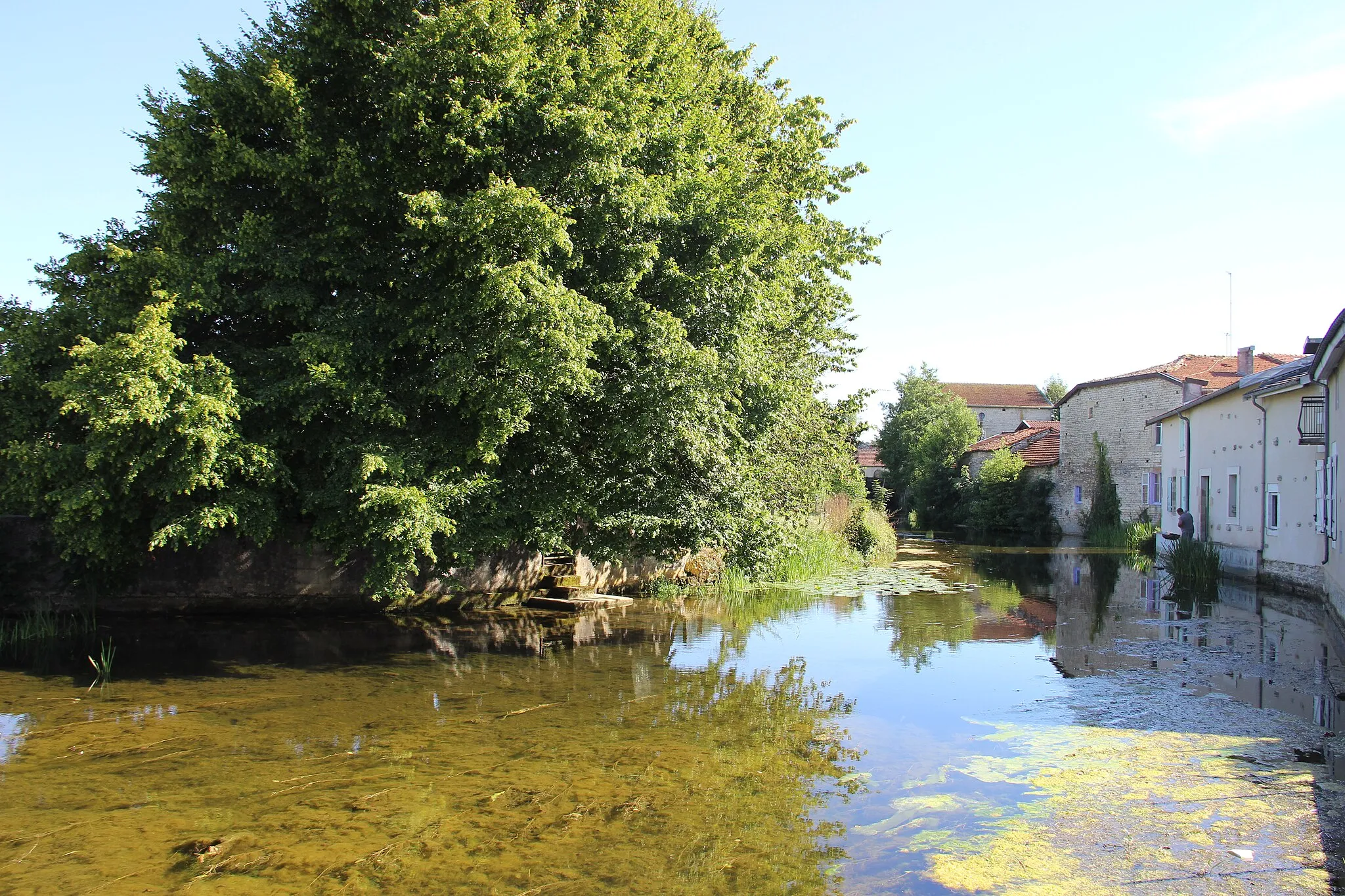 Photo showing: La Saulx à Dammarie (55)