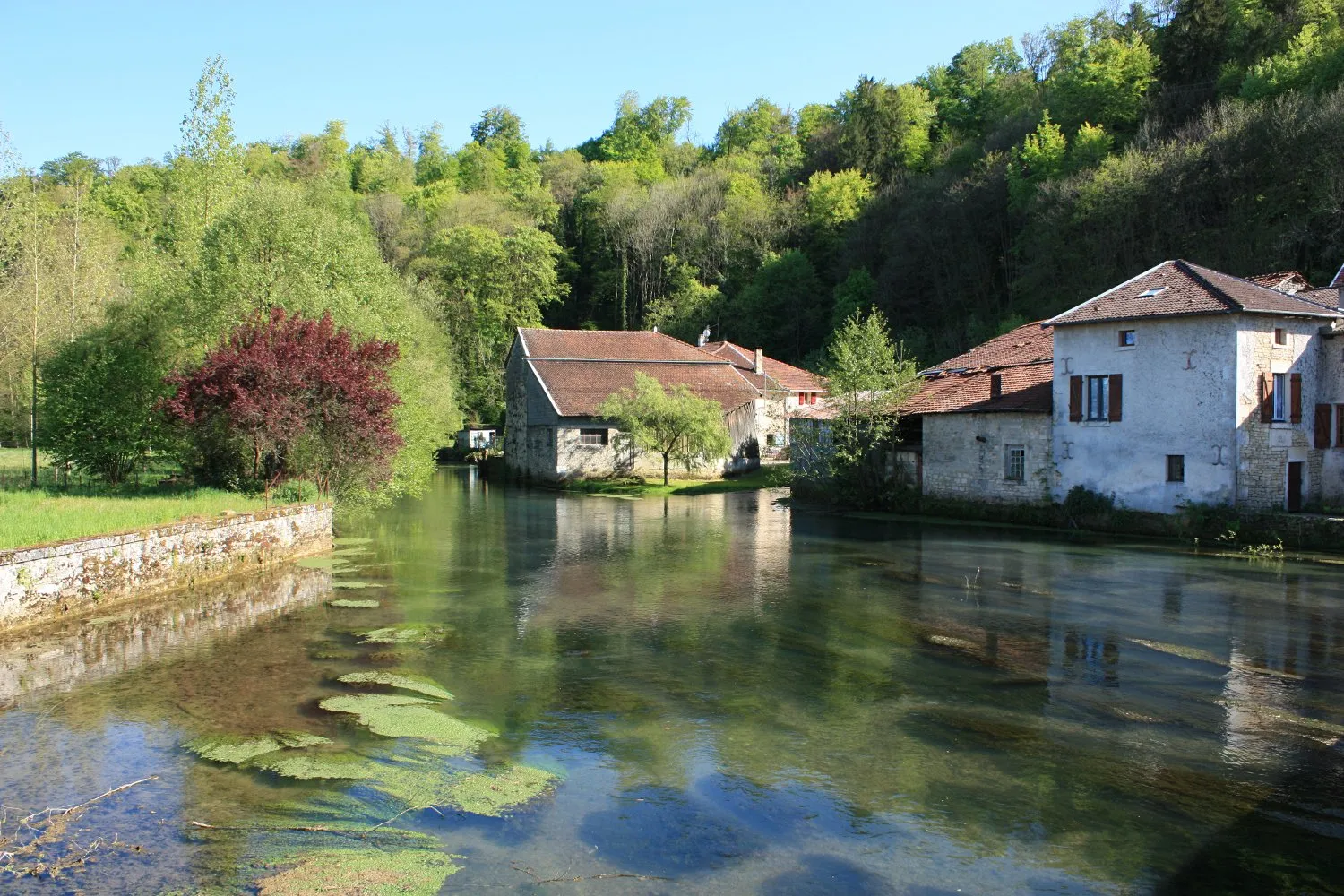 Photo showing: View of the Saulx river at Rupt-aux-Nonains