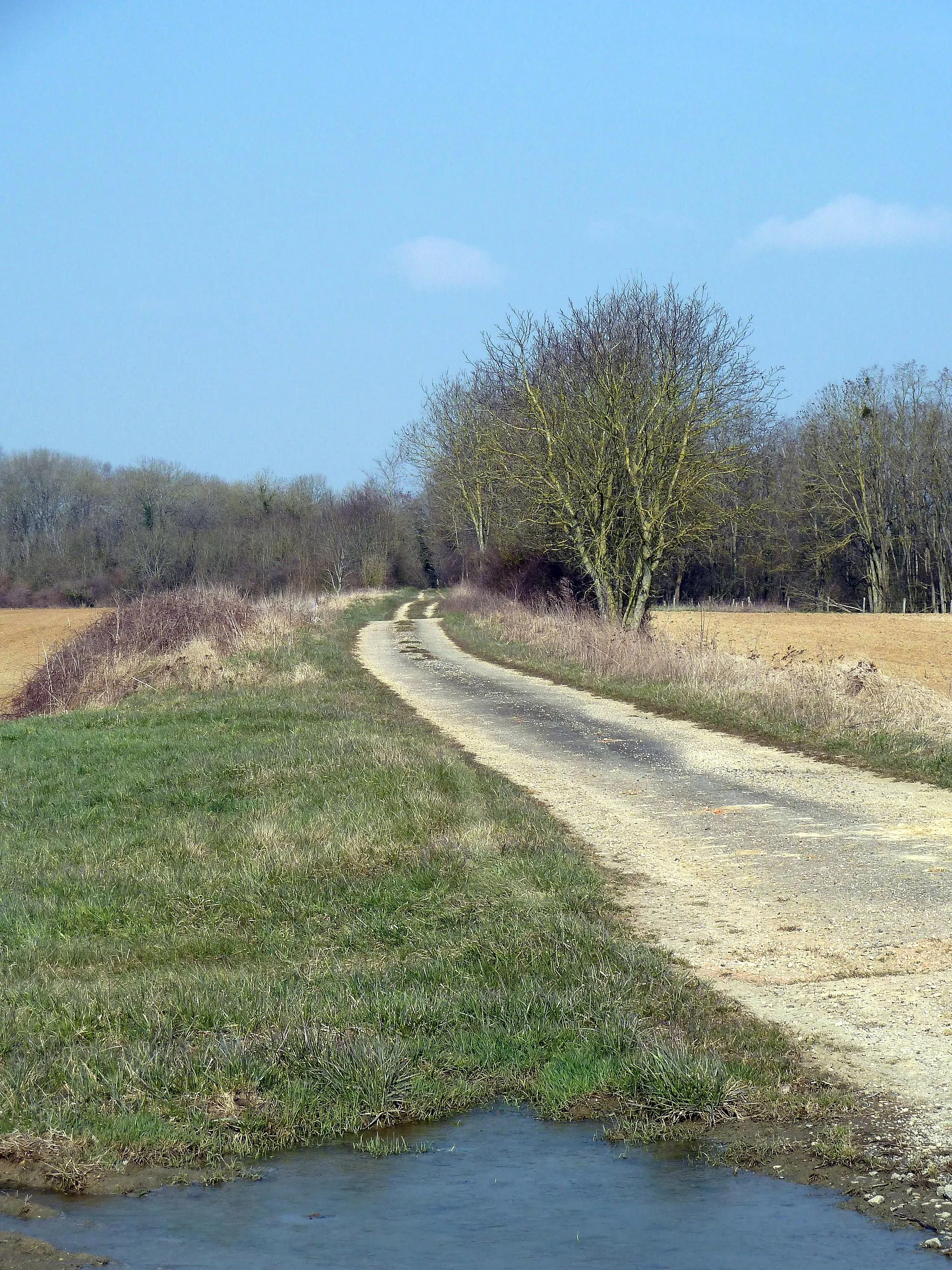 Photo showing: A la limite entre les communes de Laimont et Villers-aux-Vents (55 Meuse) l'ancienne voie romaine Reims Toul à l'endroit où elle rejoint l'actuelle route départementale D75.