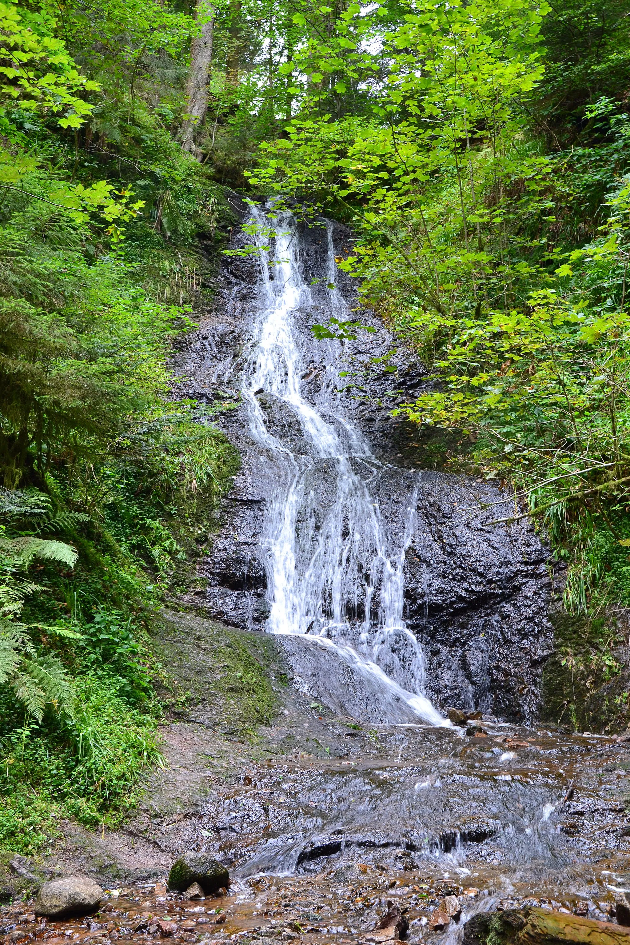 Photo showing: Le saut de la Bourrique, cascade à Gérardmer.