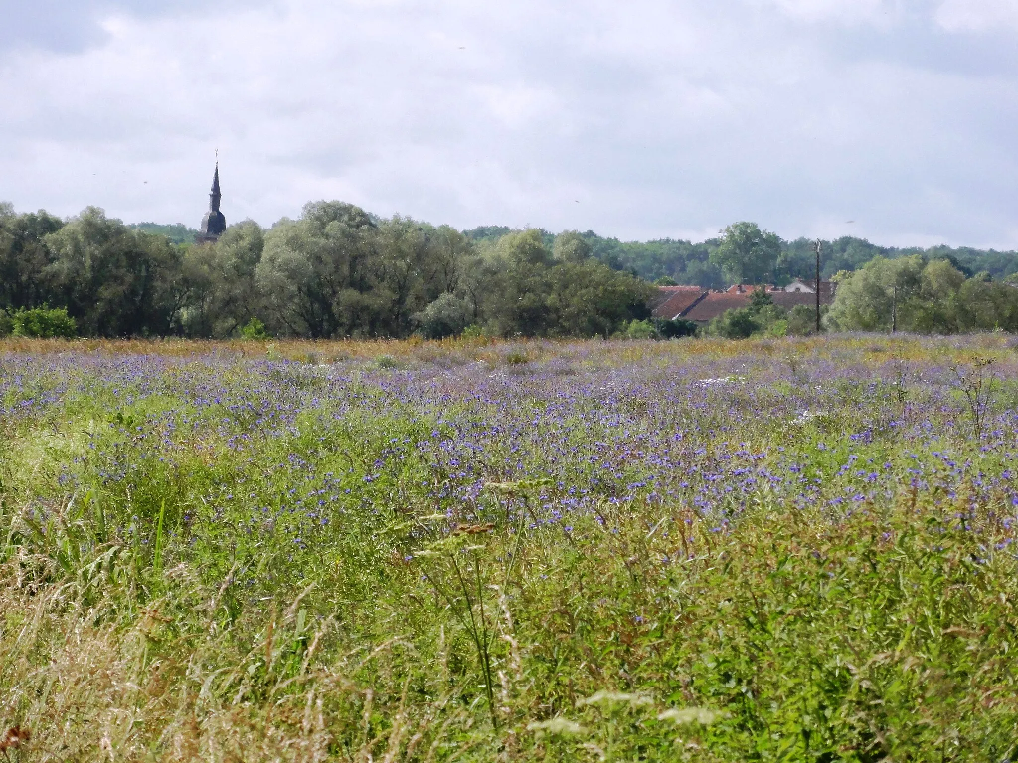 Photo showing: Croismare (M-et-M) paysage, vue sur village