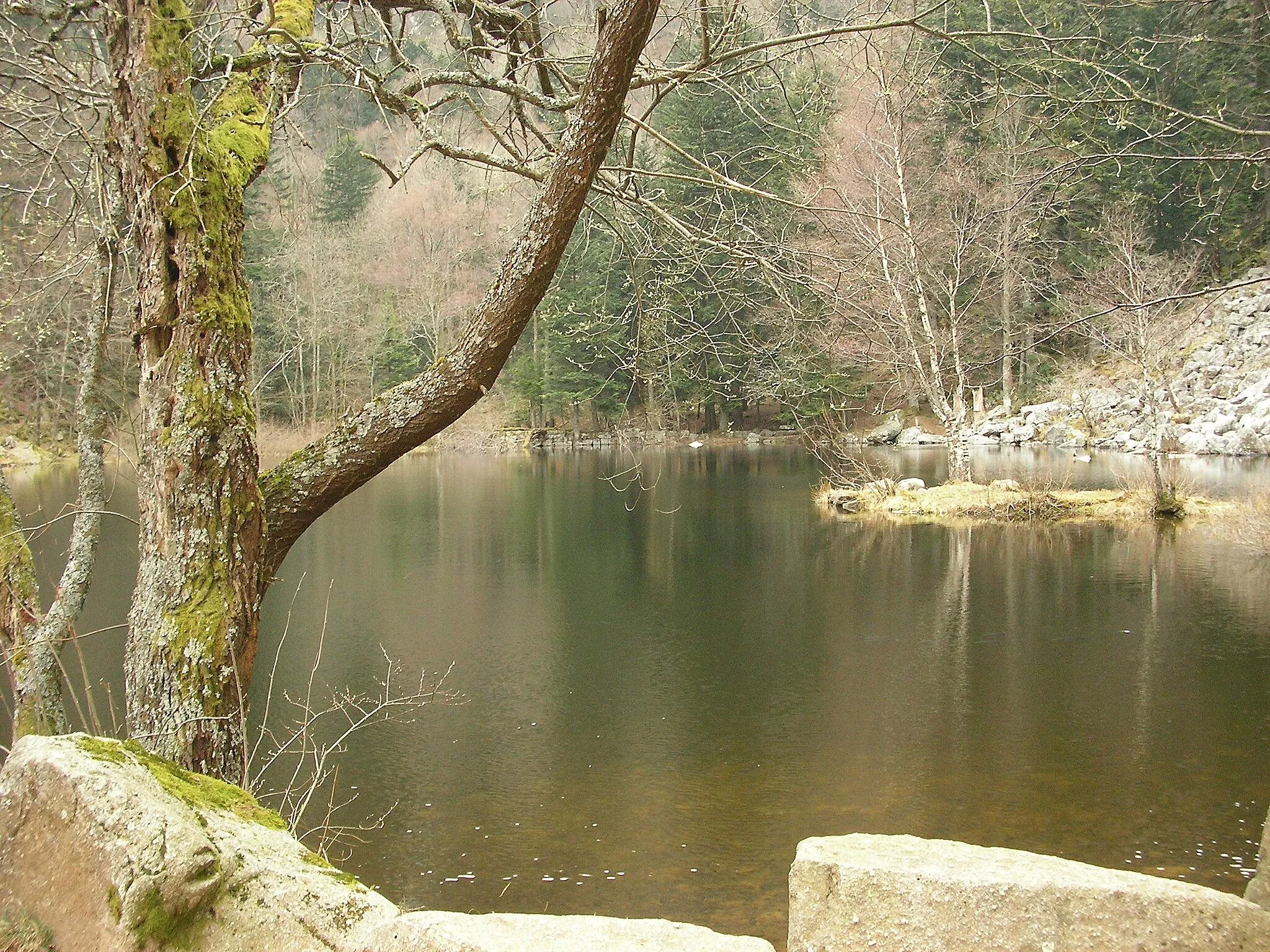 Photo showing: Lac du Fischboedle (794 m) à Metzeral (Haut-Rhin, France).