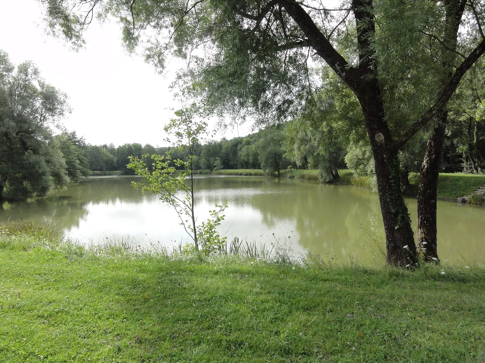 Photo showing: Longeville-en-Barrois (Meuse) parc et étang