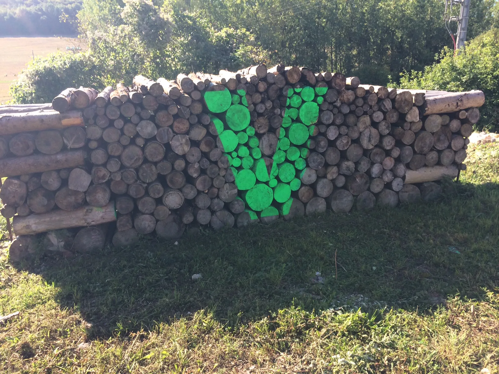 Photo showing: Logo du Vent des Forêts (ici, marquage à la peinture verte sur un tas de bois situé sur le parking de l'association)