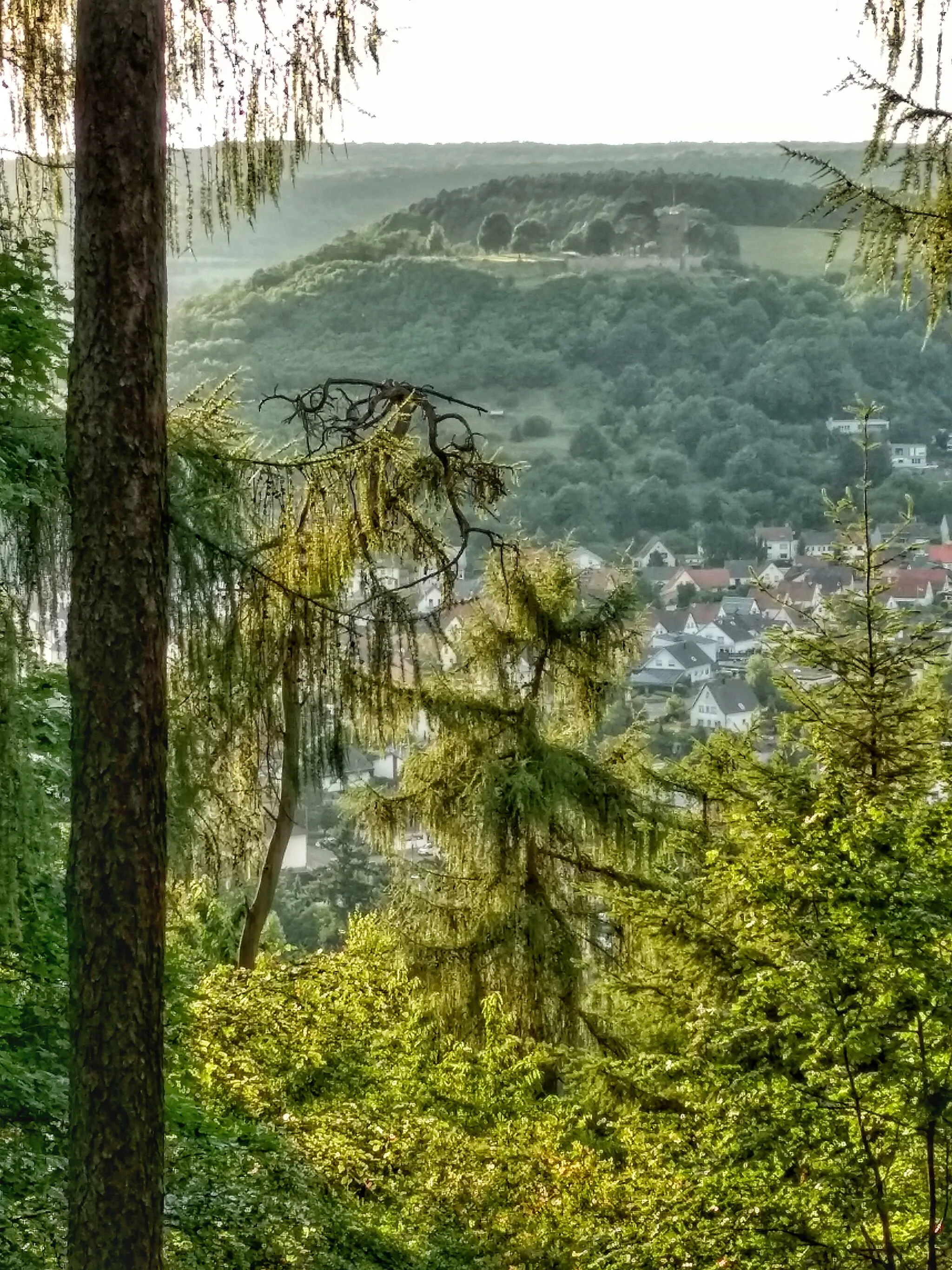 Photo showing: Hoesberg (Siersburg)