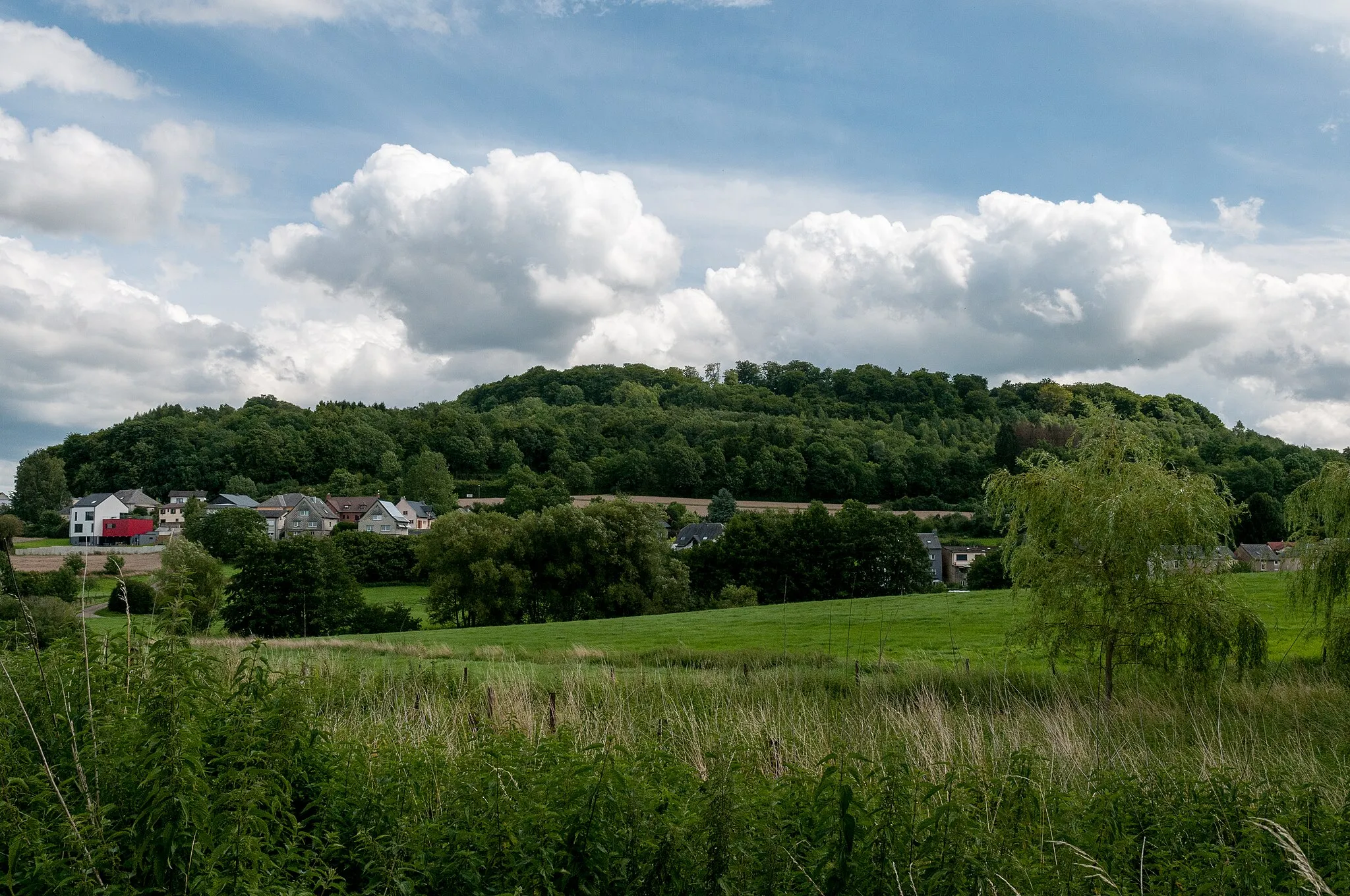 Photo showing: D'südlech Flank vum Tëtelbierg vu Rodange gesinn.