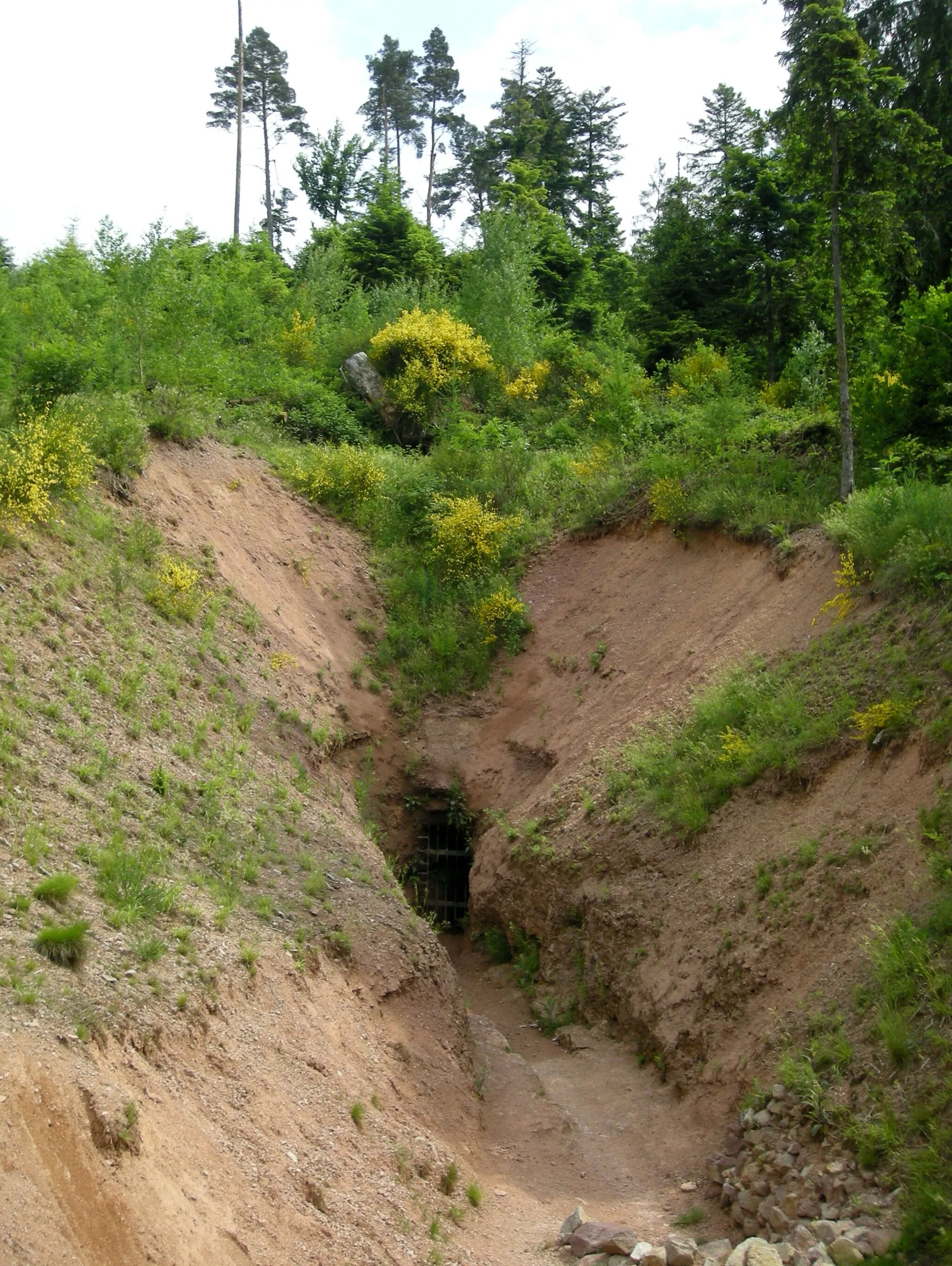 Photo showing: Dégagement d'une galerie à l'ancienne mine de cuivre de Saint-Jean d'Anozel (Saulcy-sur-Meurthe, Vosges)