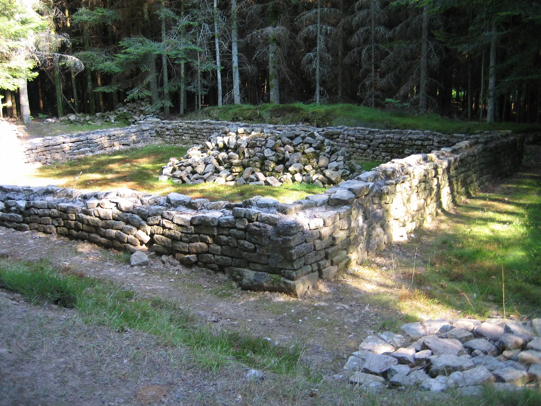 Photo showing: Sanctuaire gallo-romain de la forêt de Tannière (Vosges, France), by Raphaël Tassin (raphdvoj), 2006/07