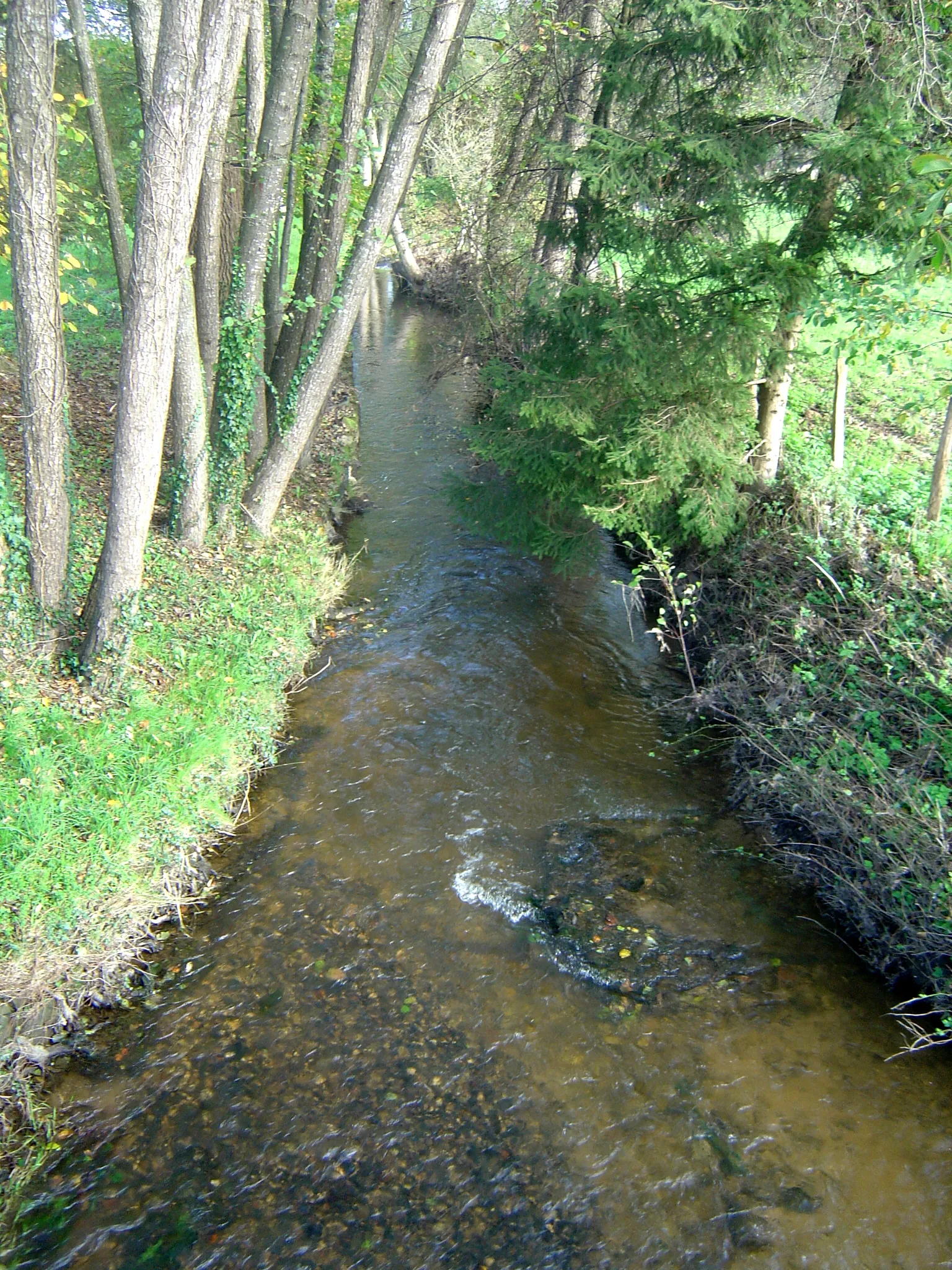 Photo showing: L'Arentèle in Pierrepont-sur-l'Arentèle