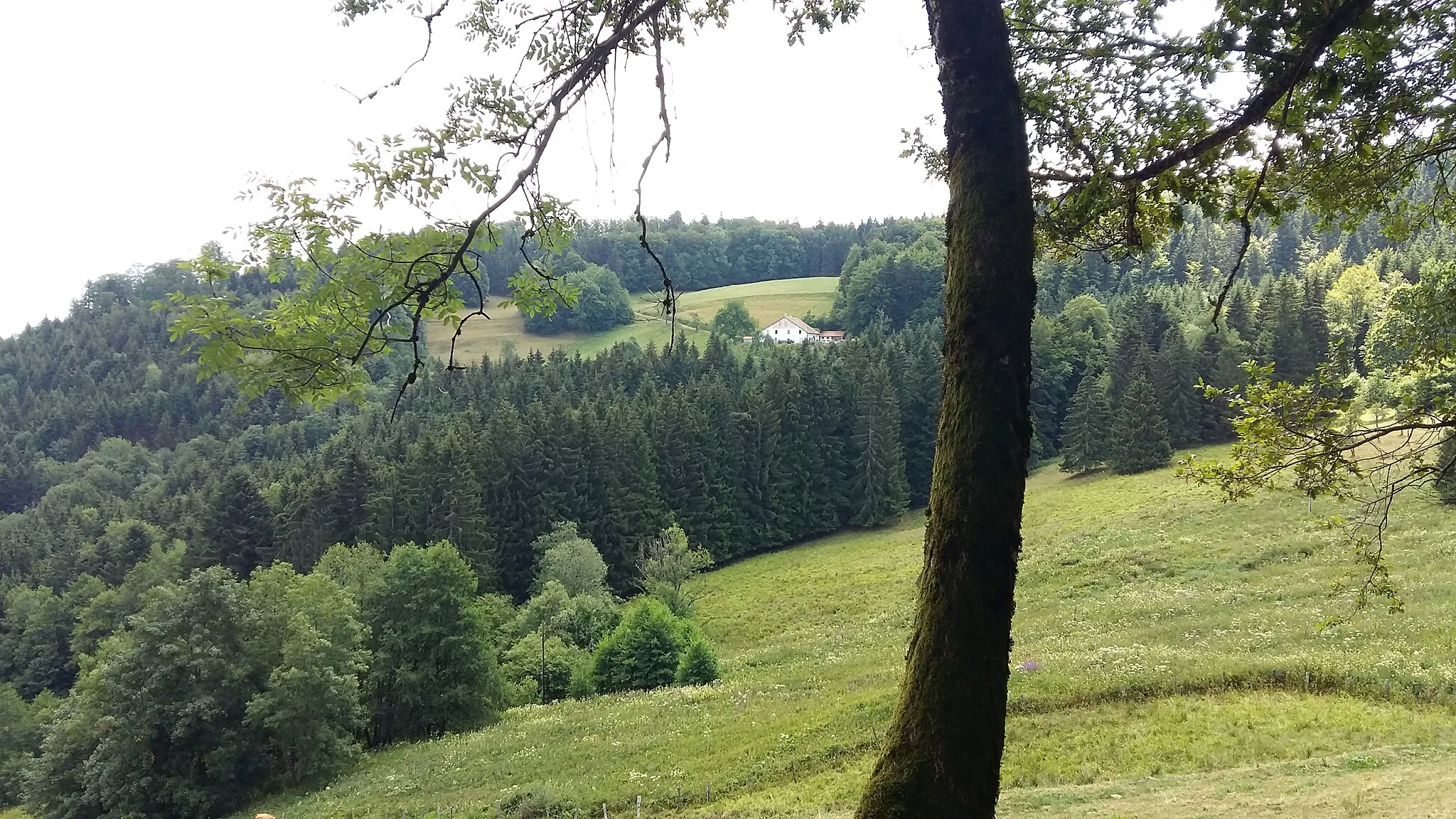 Photo showing: Ferme vosgienne des hauteurs du col de Xiard