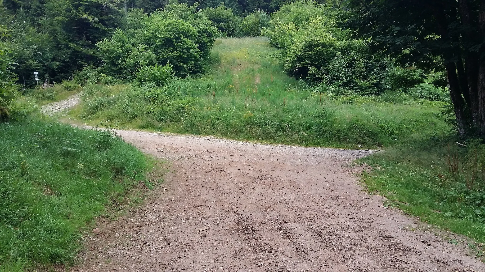 Photo showing: Col du Xiard côté Thiéfosse, vallée de la Moselotte.