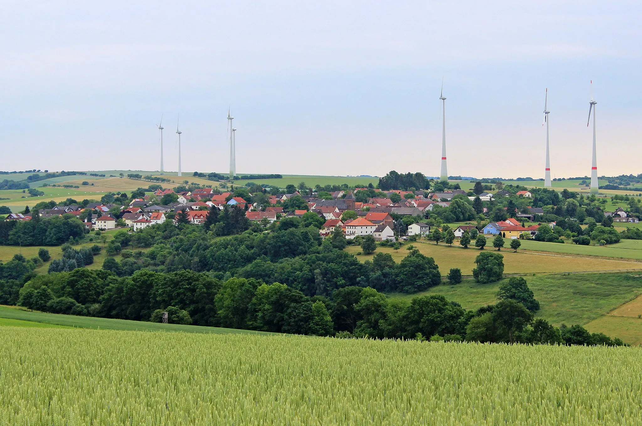 Photo showing: Riedelberg, Landkreis Südwestpfalz, Rheinland-Pfalz
