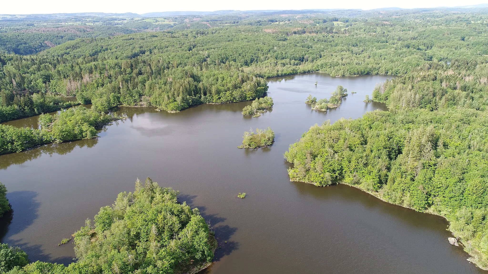 Photo showing: Étang d'Arfin à Faucogney-et-la-Mer sur le Plateau des mile étangs.