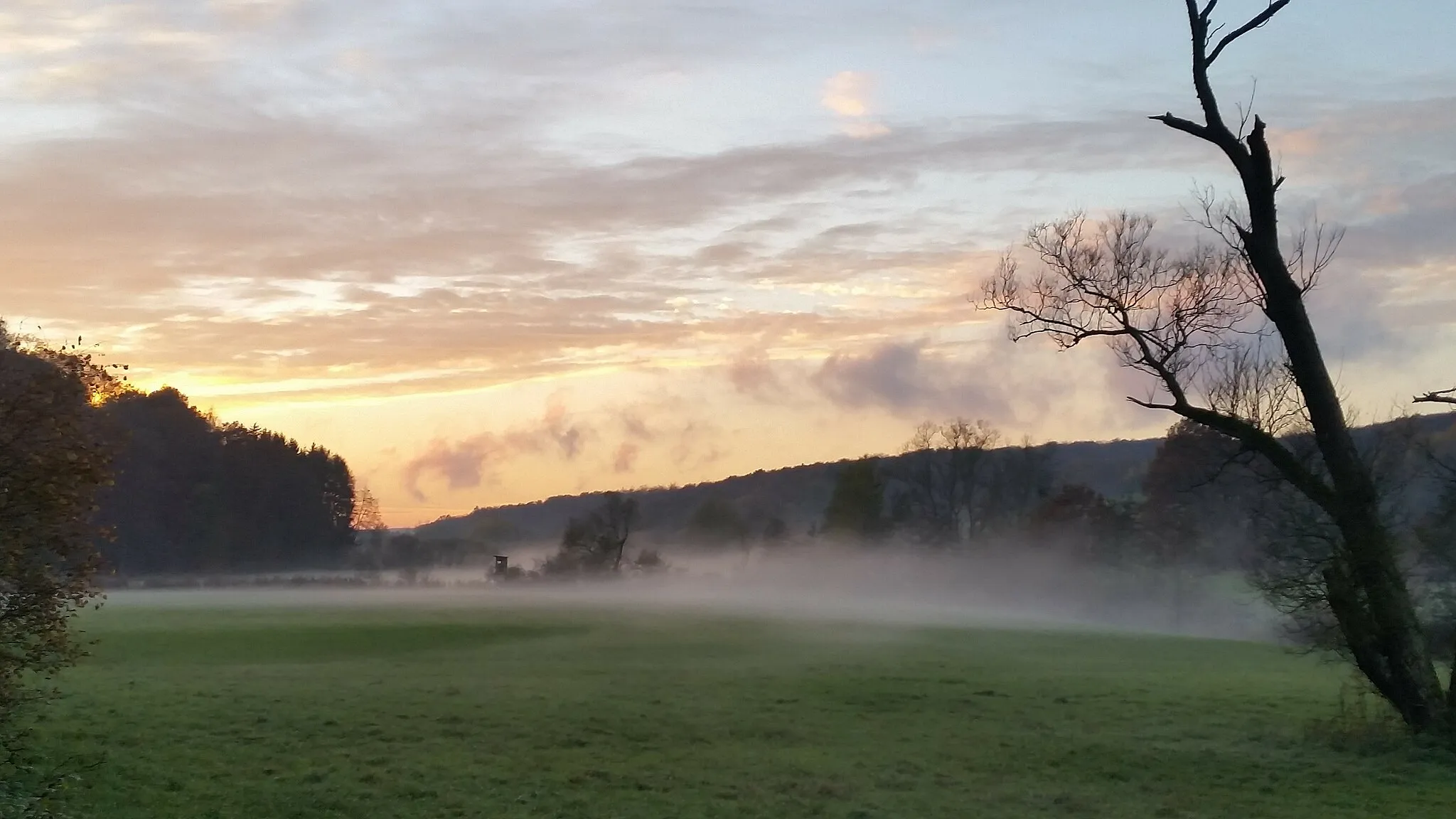 Photo showing: Sonnenuntergang im Tal der Felsalb bei Walshausen in der Pfalz