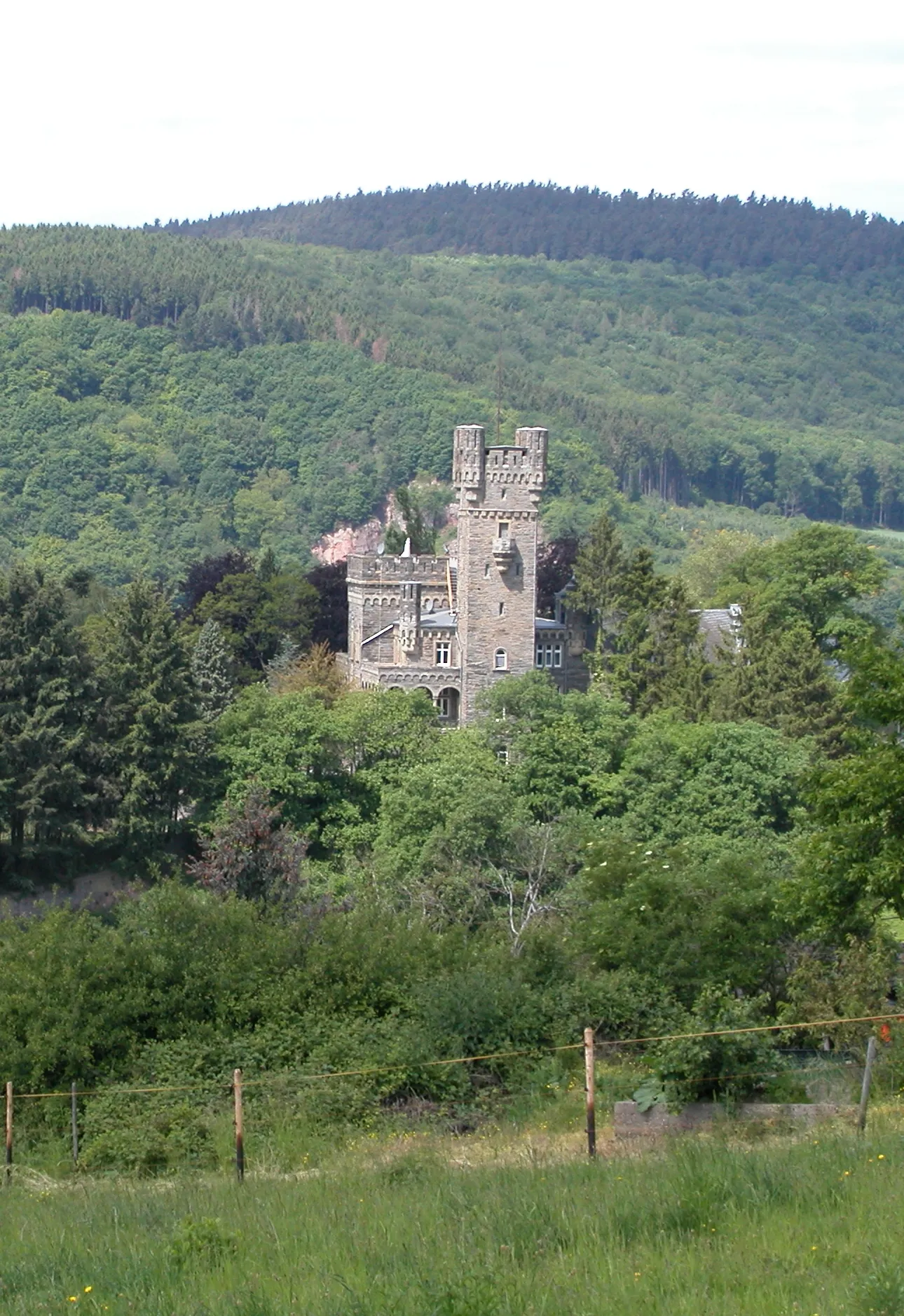 Photo showing: Weingut Schloss Saarfels in Serrig