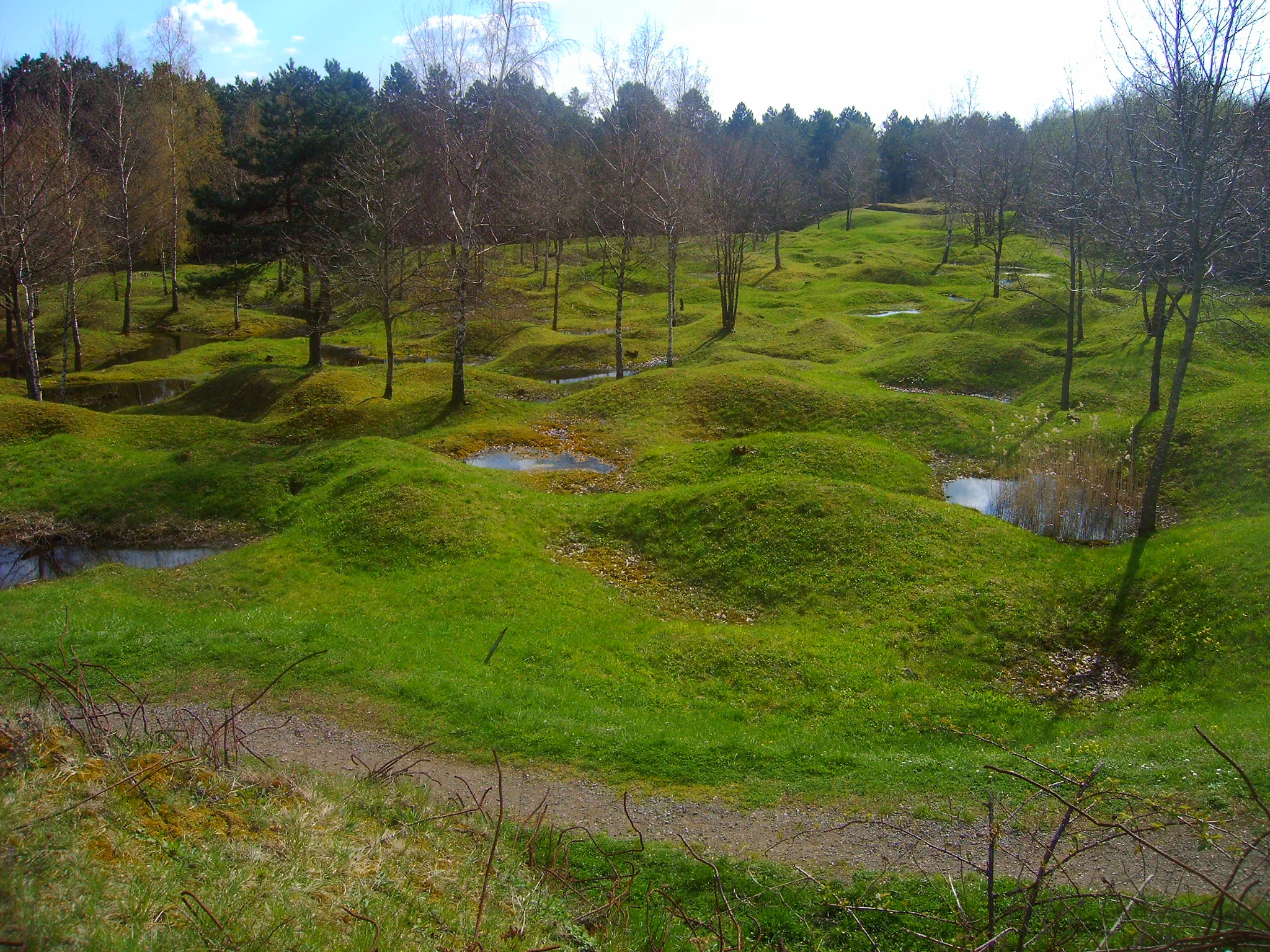 Photo showing: Un champ de bataille de Verdun pendant la guerre 1914-1918 qui conserve les impacts d'obus