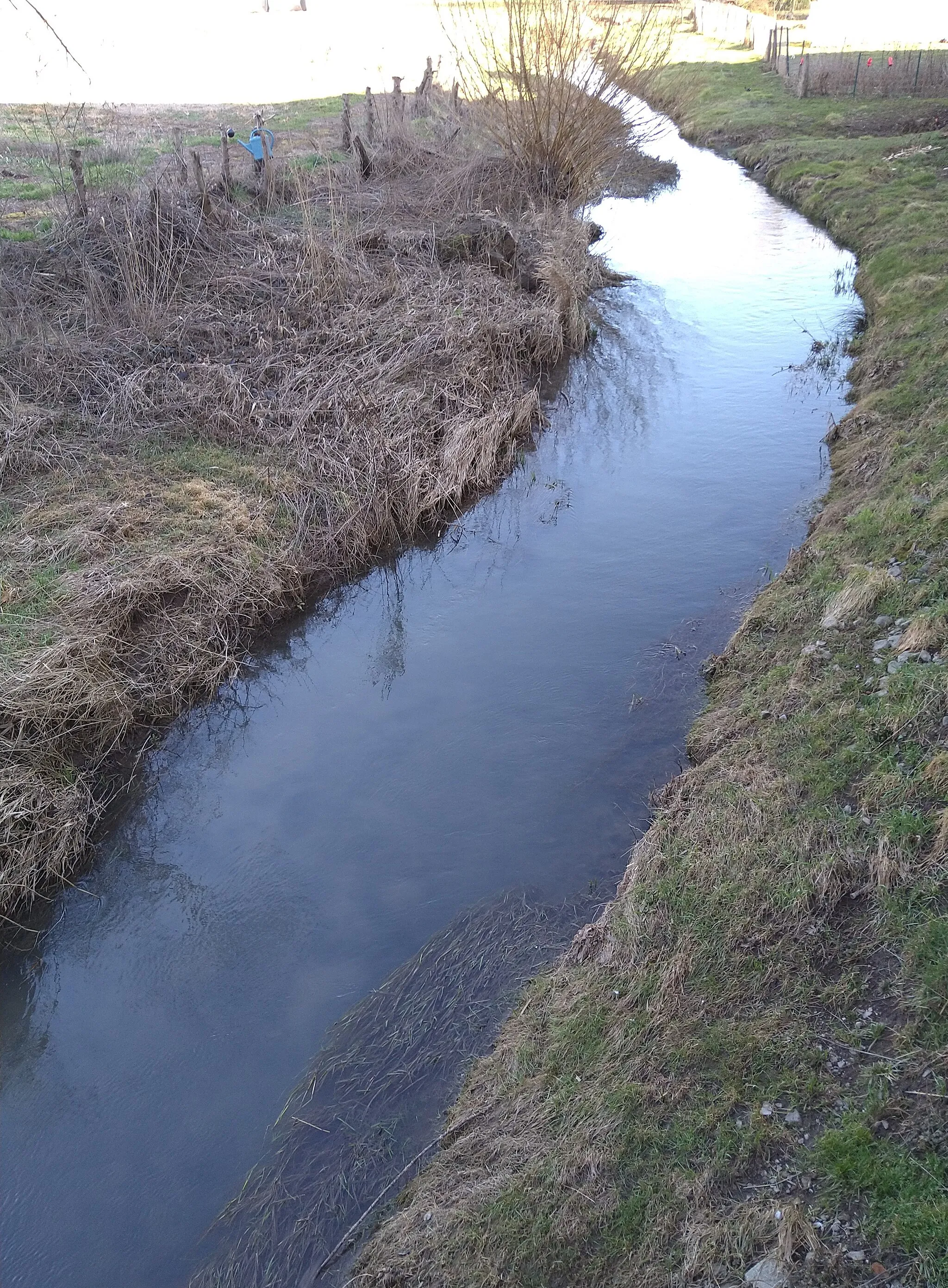 Photo showing: Loutre Noire à Bezange-la-Grande (M-et-M) sur la D 23A rue des Jonquilles côté amont